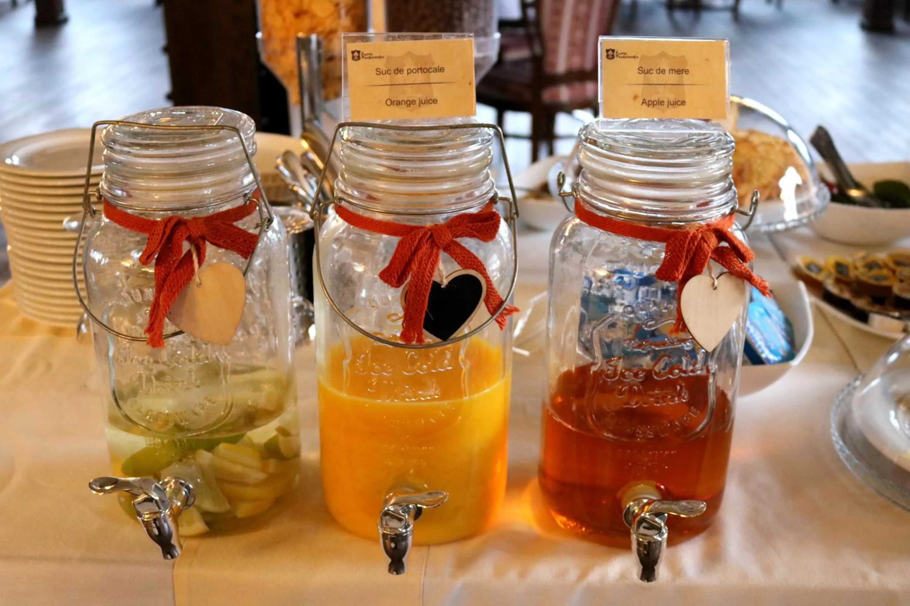 Drinks in Castel Transilvania