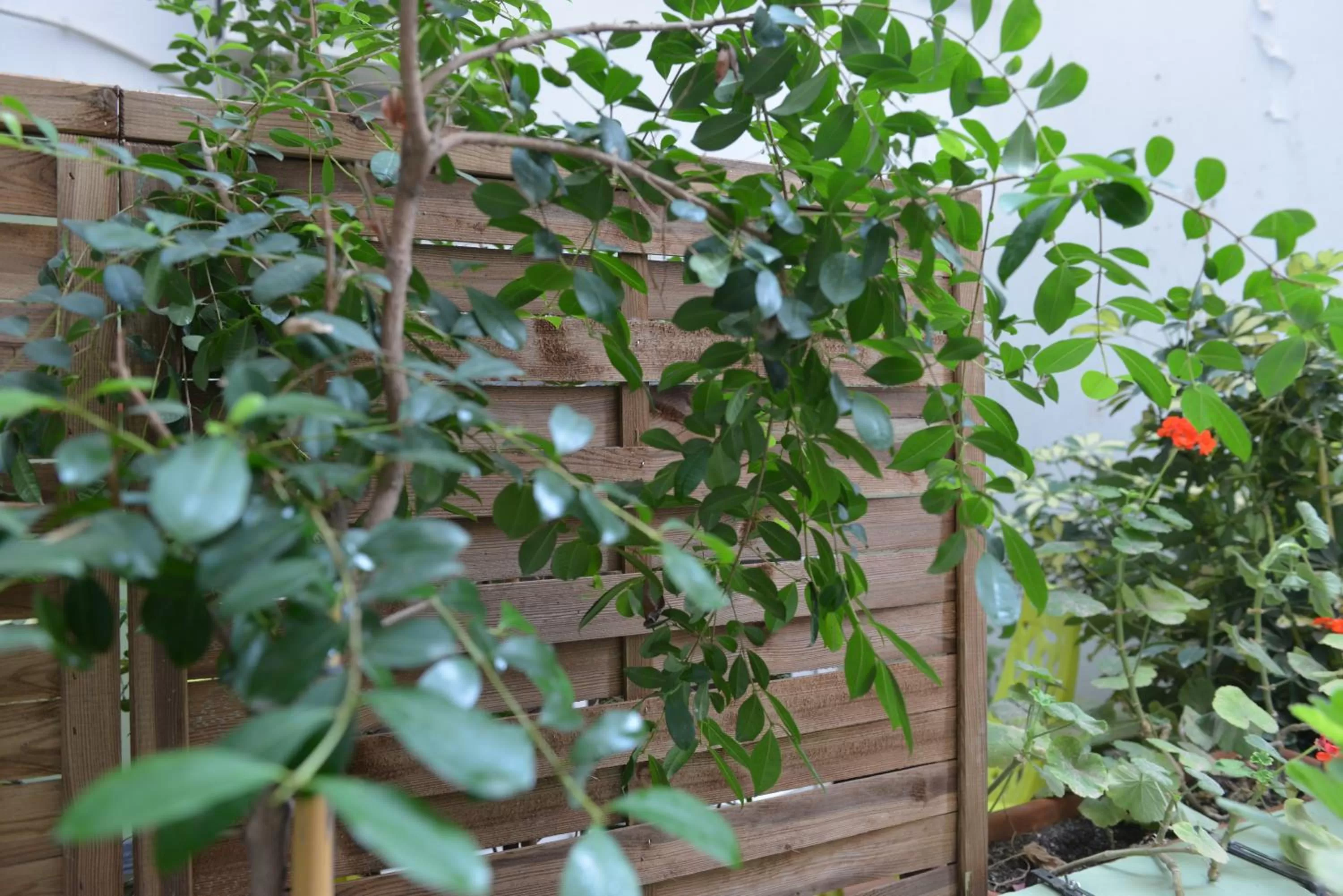 Photo of the whole room in MD Modern Hotel - Jardines