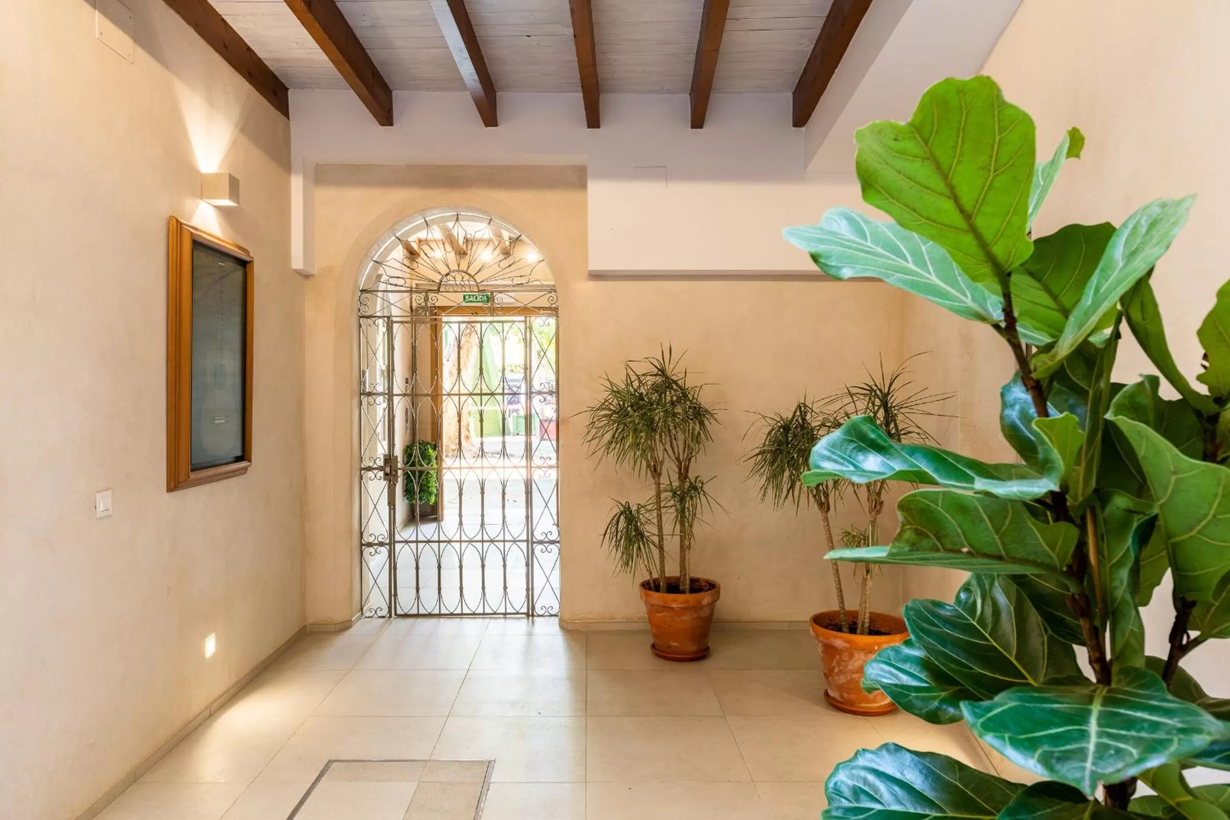 Patio in Casa 95 Sevilla