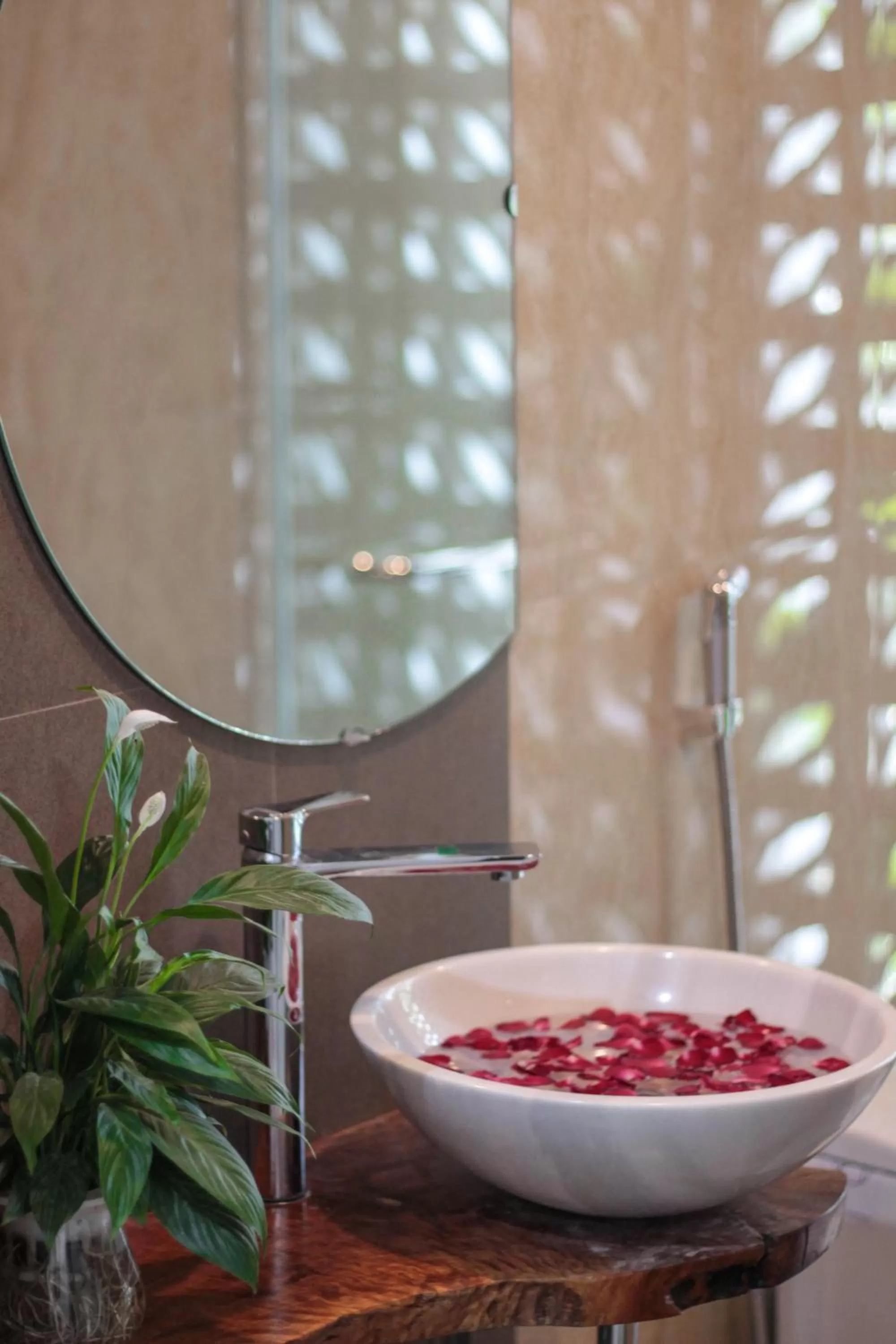 Bathroom in ᴛᴀᴍ ᴄᴏᴄ ᴄᴏᴄᴏᴏɴ ʜᴏᴍᴇsᴛᴀʏ