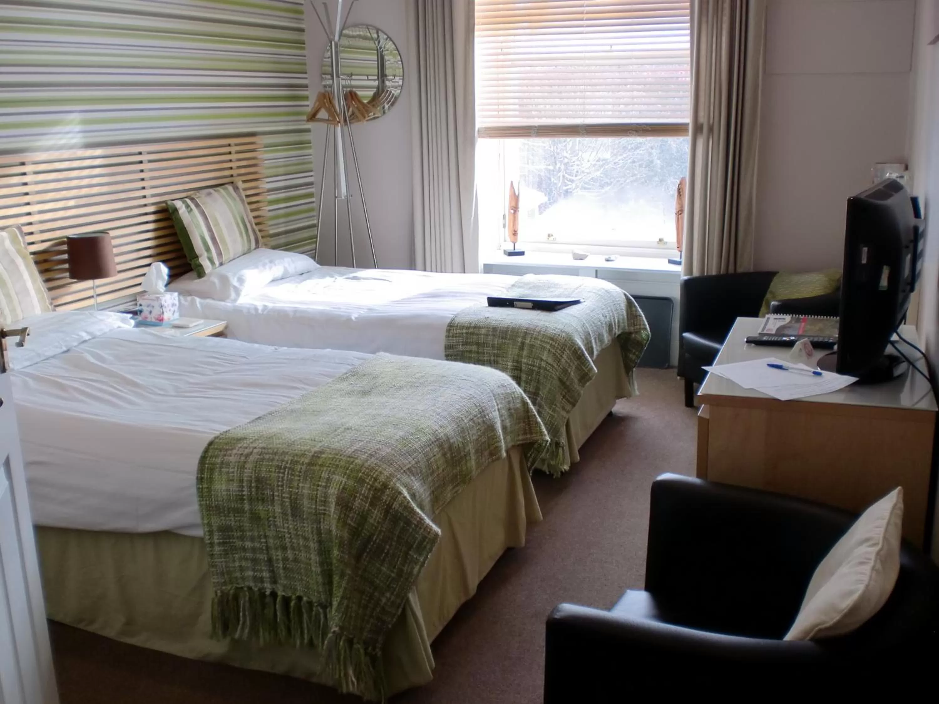 Bed in 29 Well Street B&B