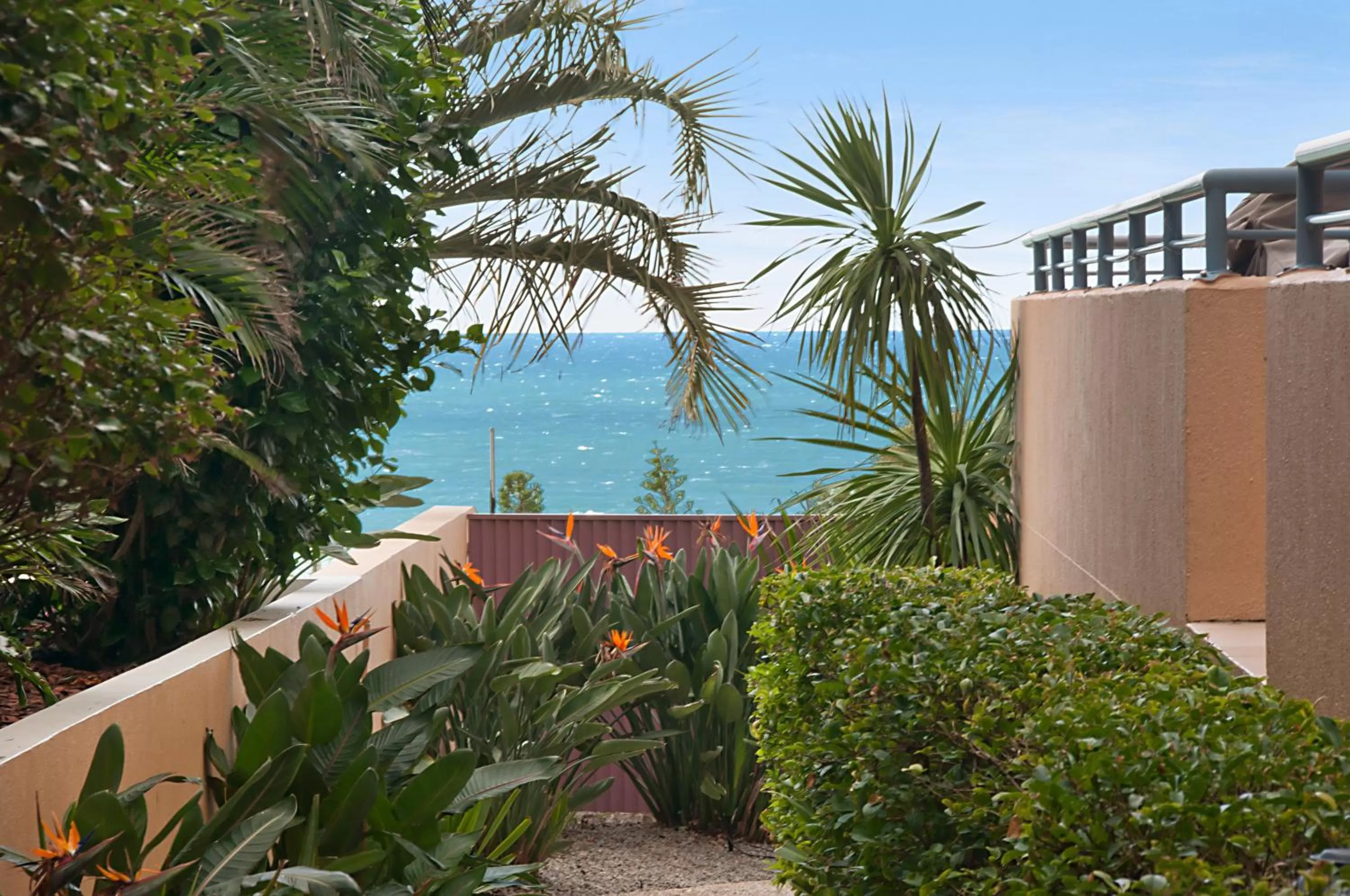 Garden in Alexandra on the Pacific