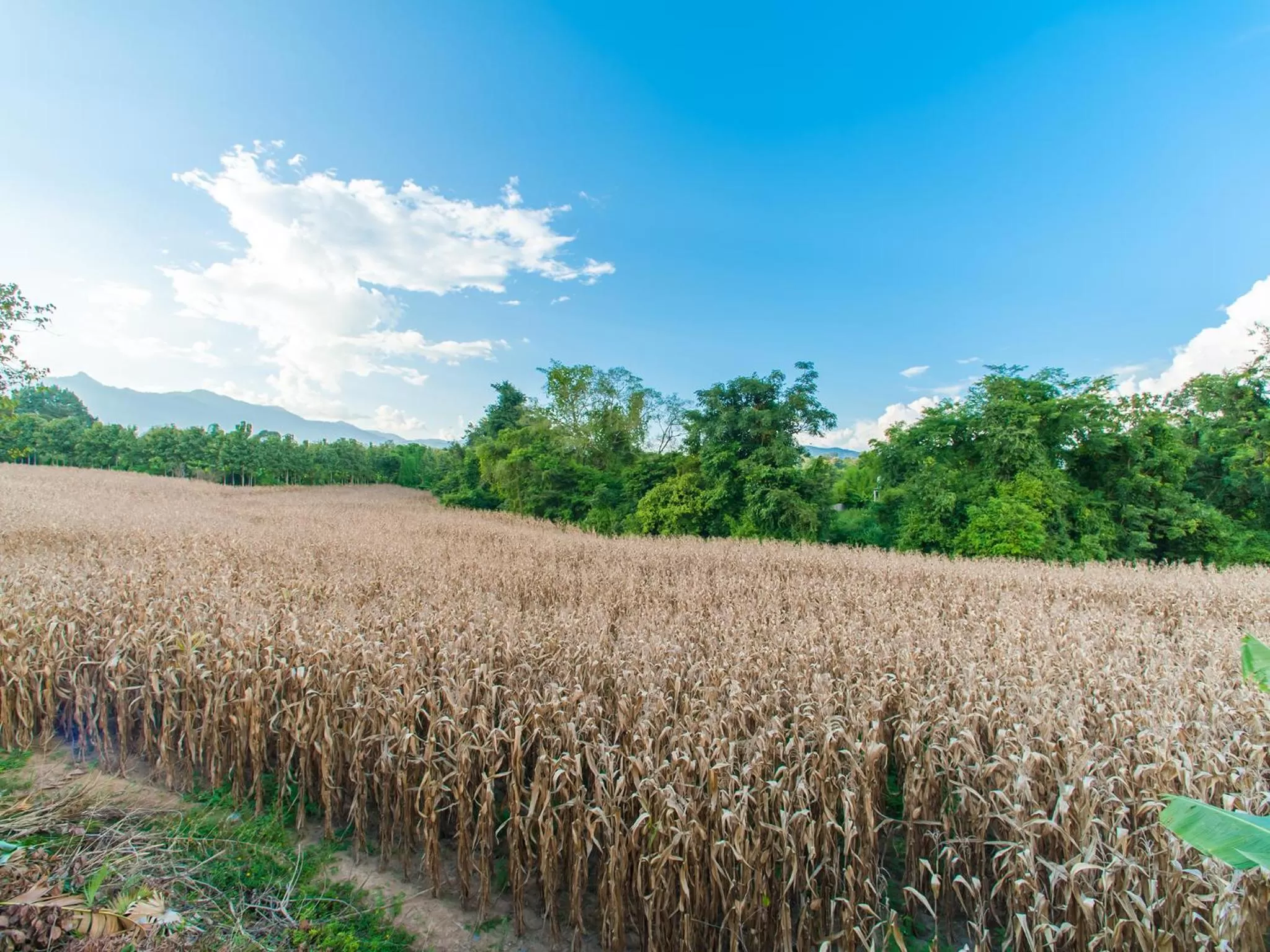 Mountain view in Baan Chokdee Pai Resort