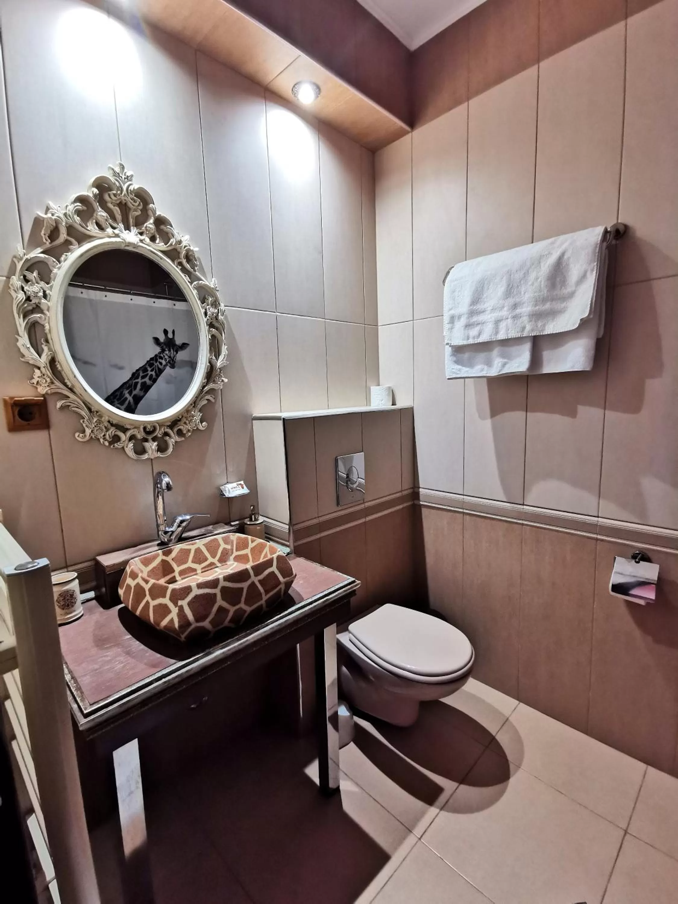 Bathroom in Hotel Africa