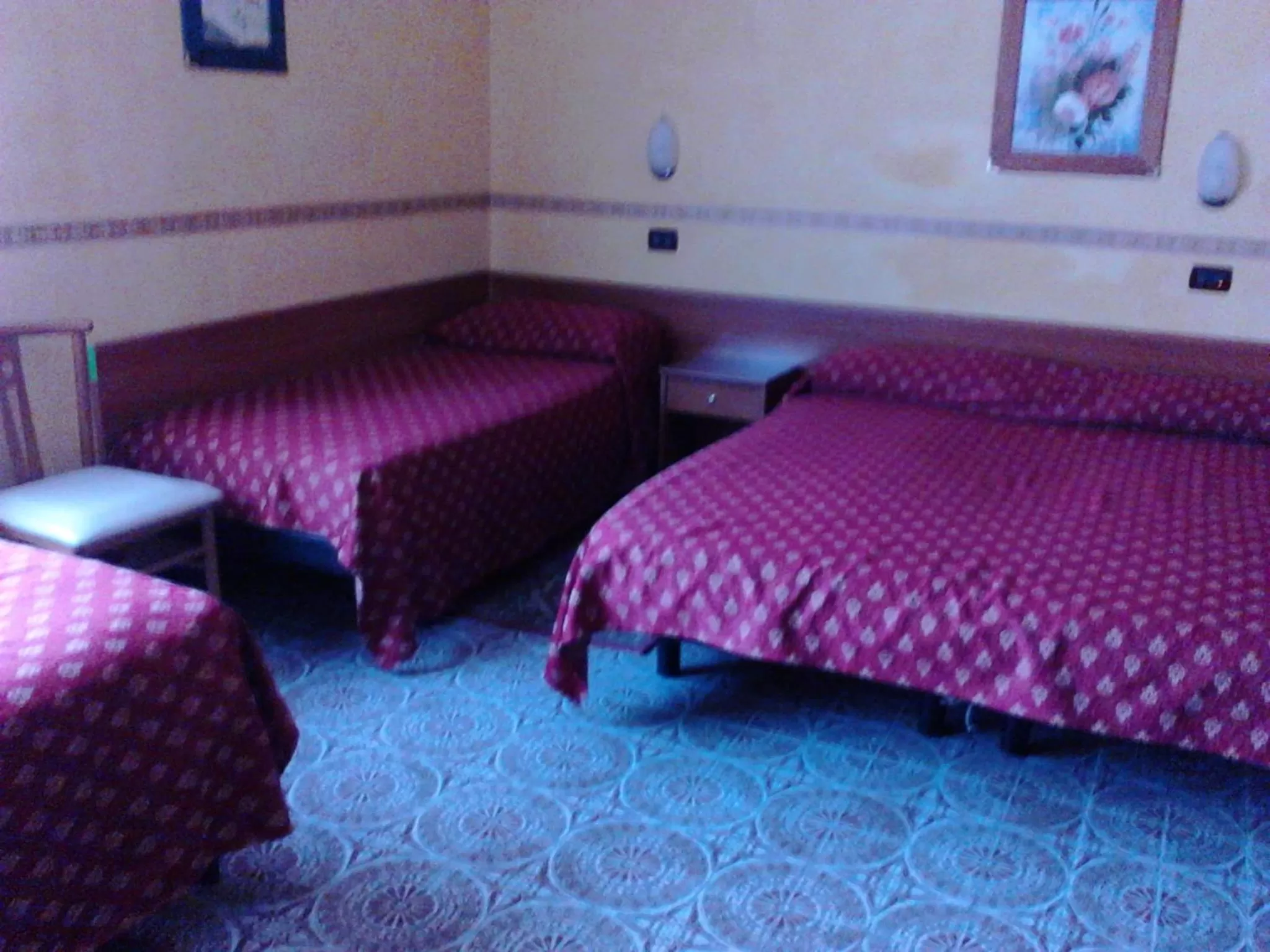 Photo of the whole room, Bed in Motel Forum