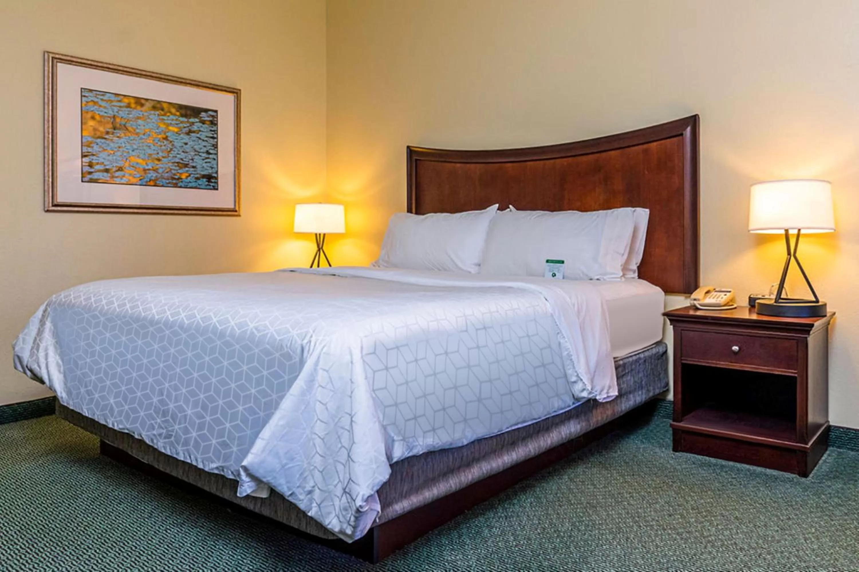 Photo of the whole room, Bed in Holiday Inn Express Indianapolis Airport by IHG