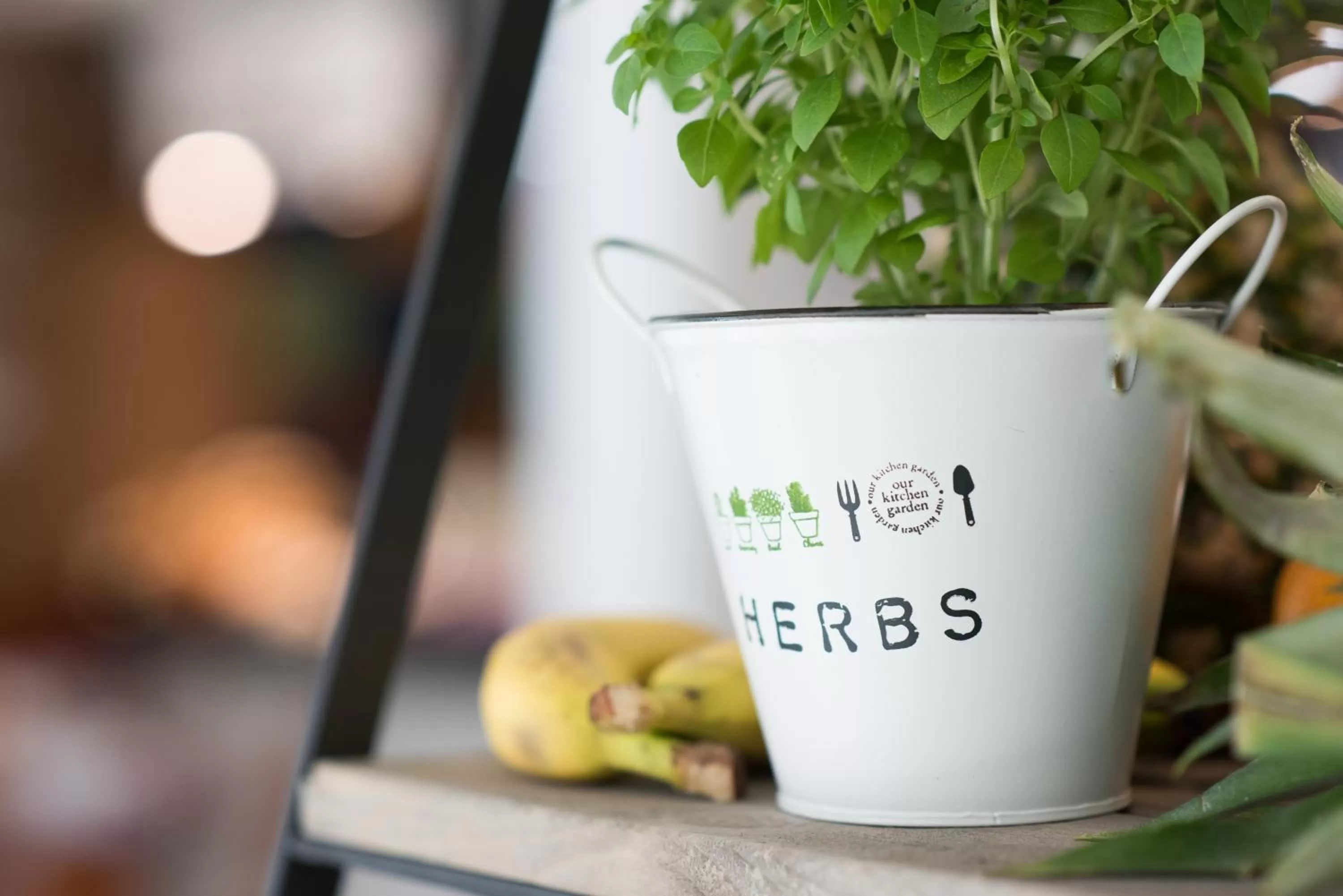 Food in ibis Styles Barcelona Sant Joan Despi