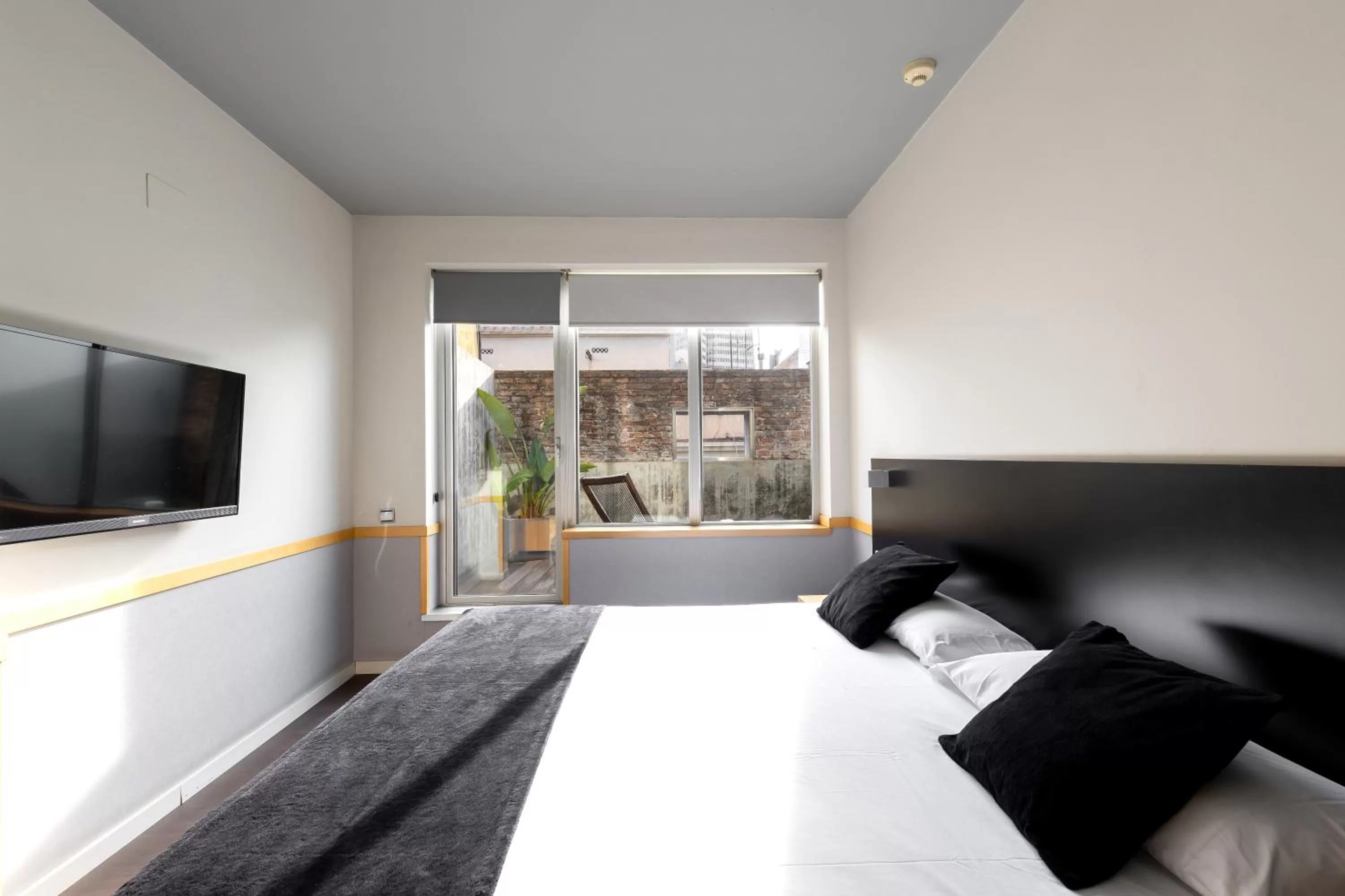 Photo of the whole room in Onix Liceo