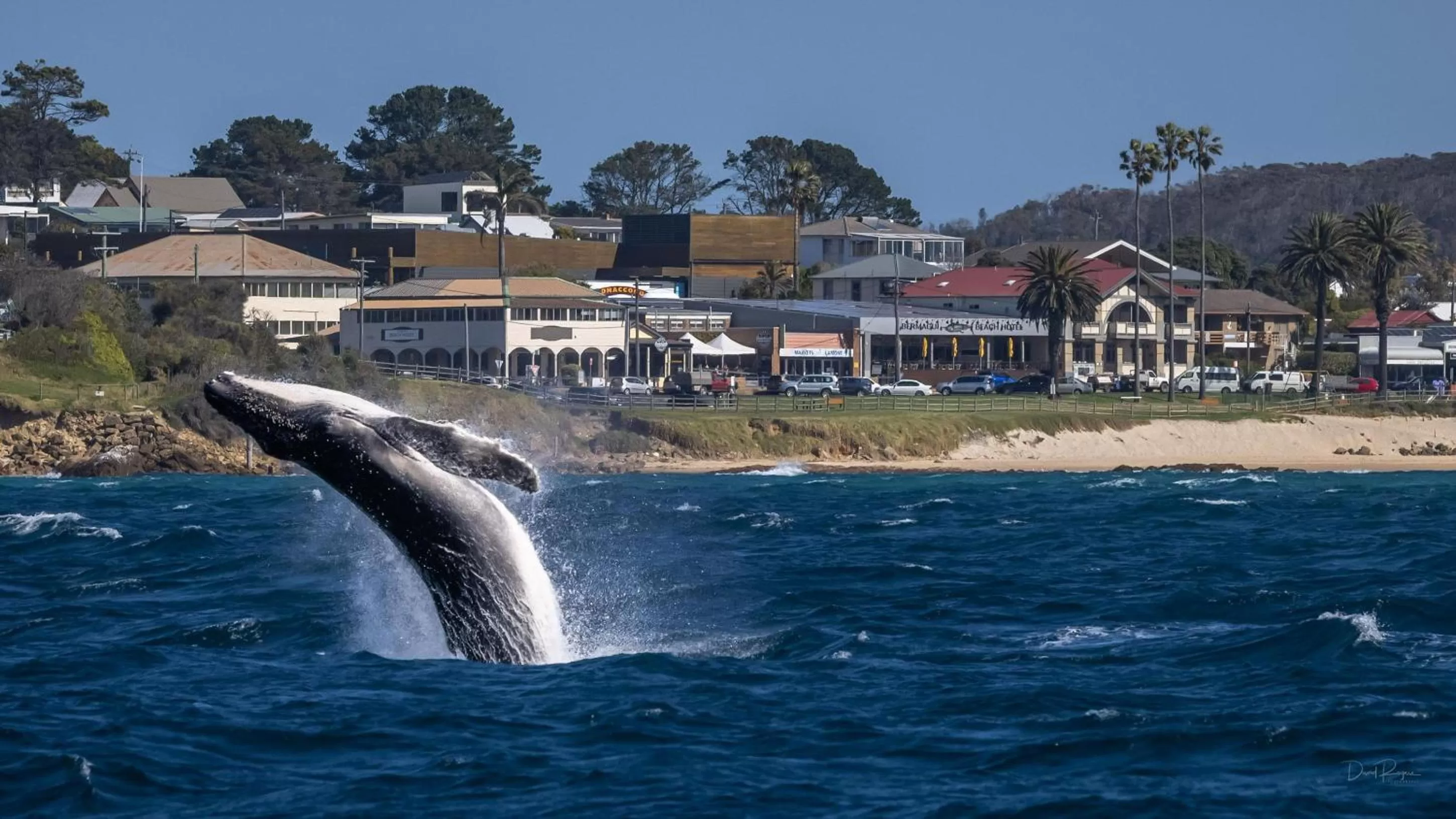 Nearby landmark in Bermagui Beach Hotel