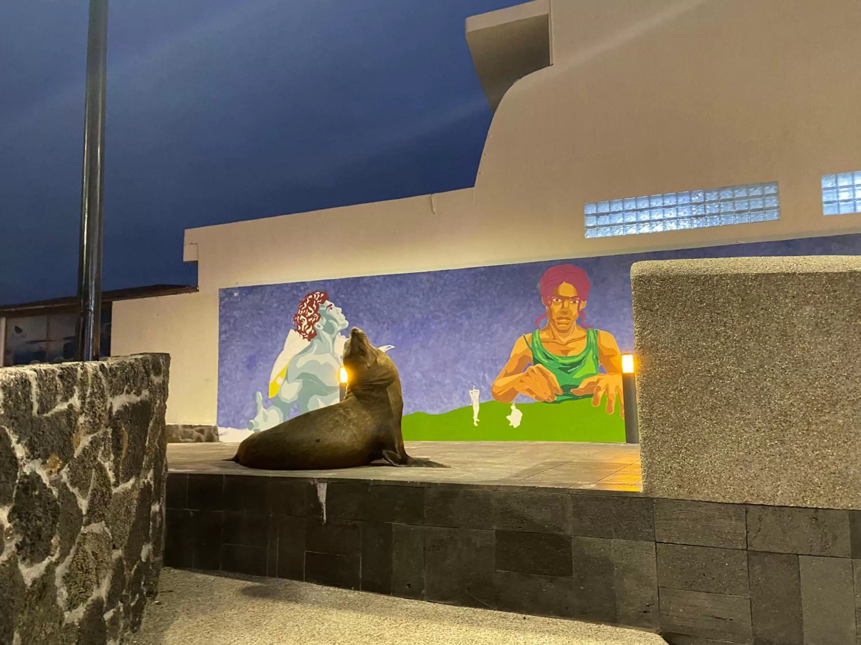 Other in La Peregrina Galapagos B&B