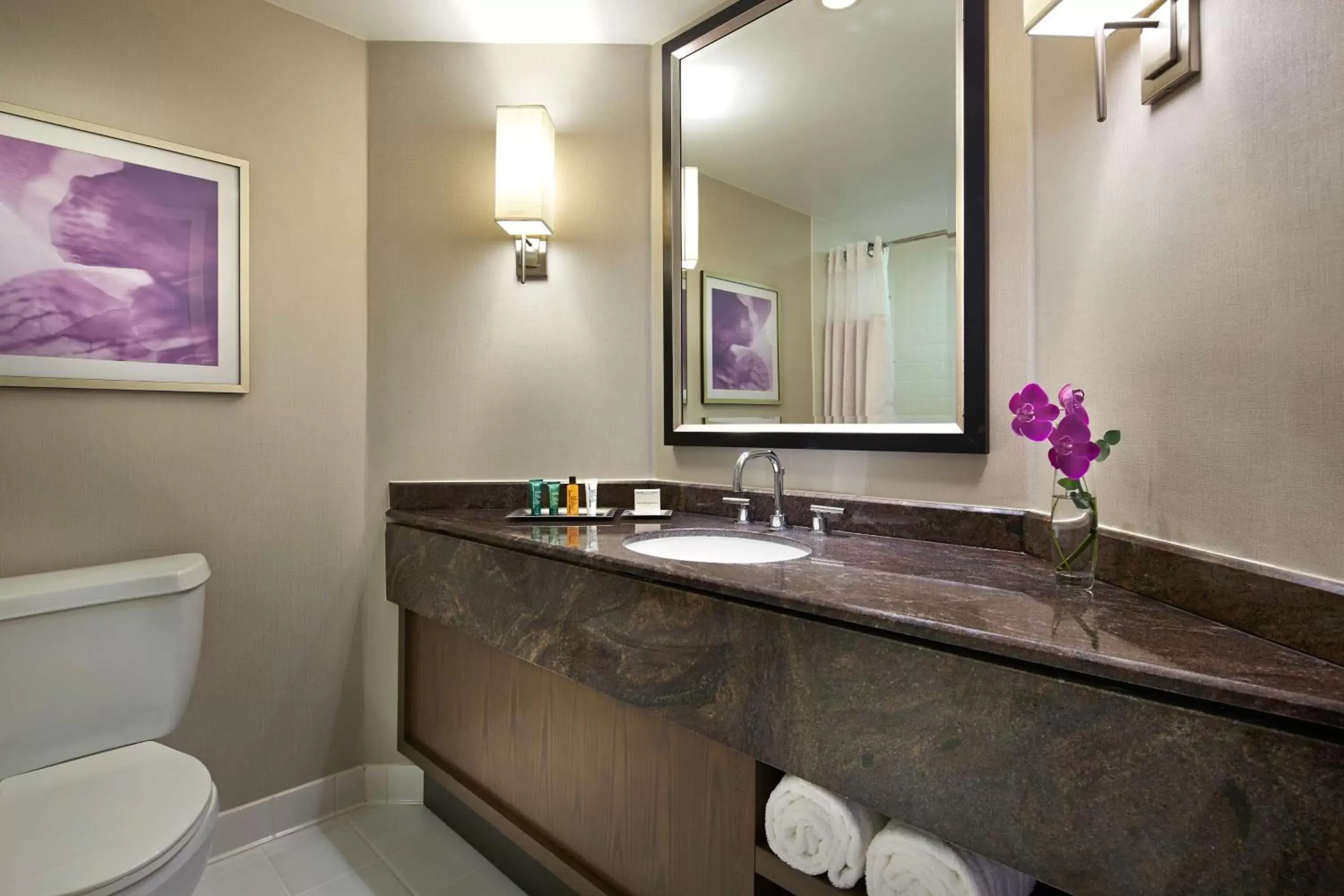 Deluxe King Room with Bath Tub - Mobility/Hearing Accessible in Hilton Long Beach Hotel Deluxe King Room with Bath Tub - Mobility/Hearing Accessible in Hilton Long Beach Hotel