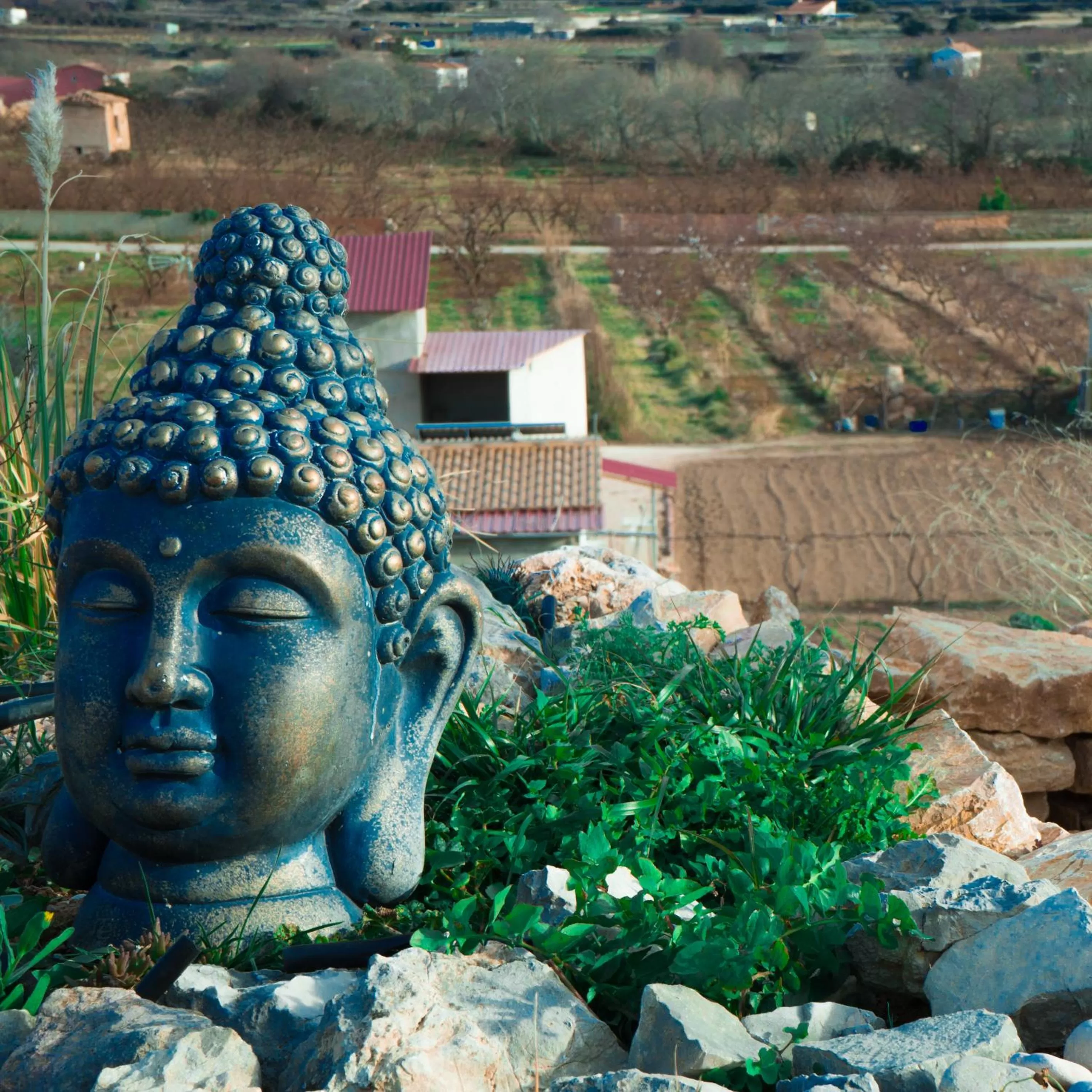 Garden in Cabezo Buñuel Hostal