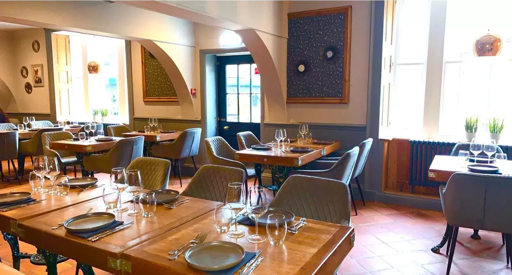 The Curious Fox The Curious Fox