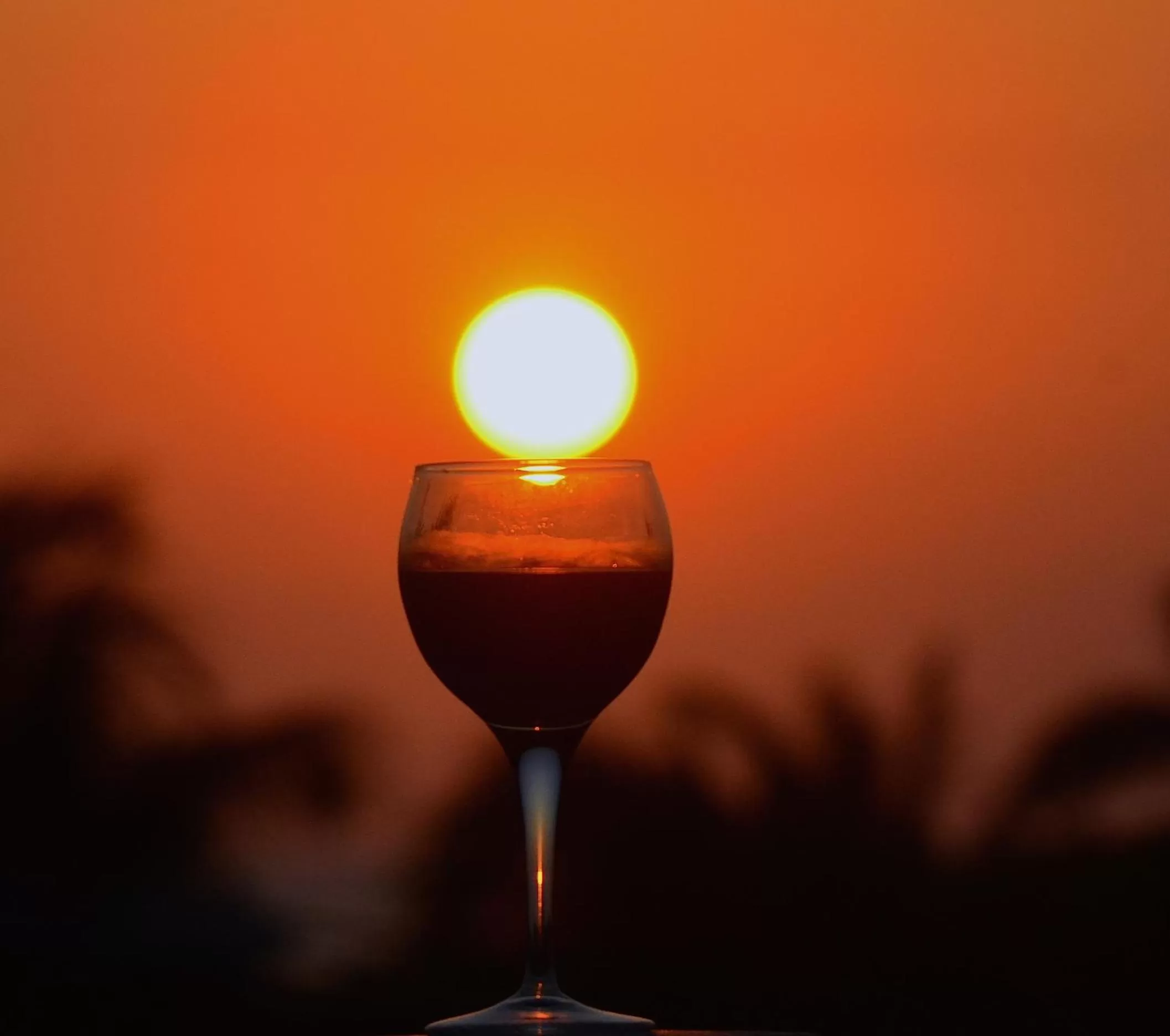 Alcoholic drinks in Yocamatsu