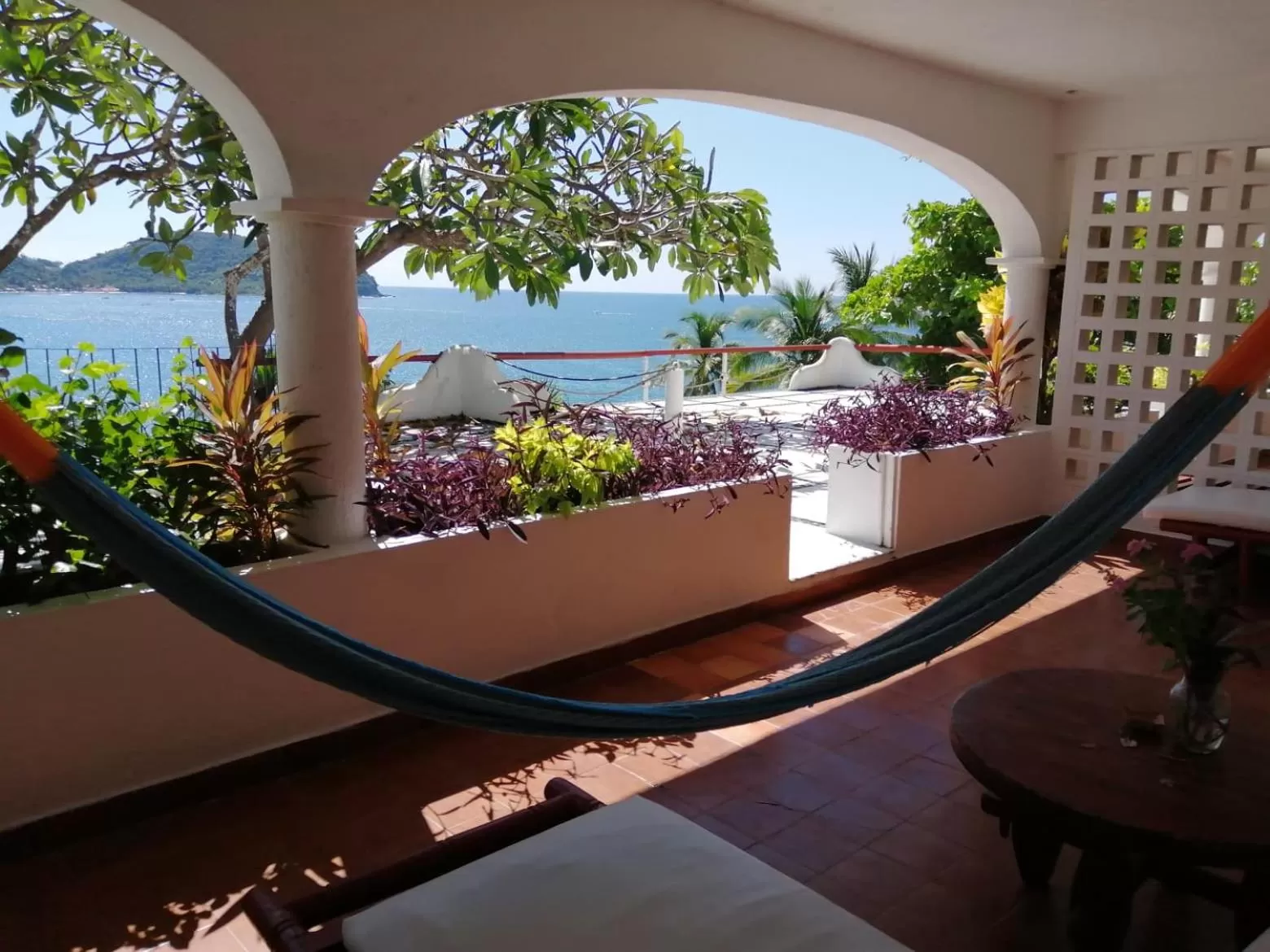 Balcony/Terrace in Hotel Catalina Beach Resort