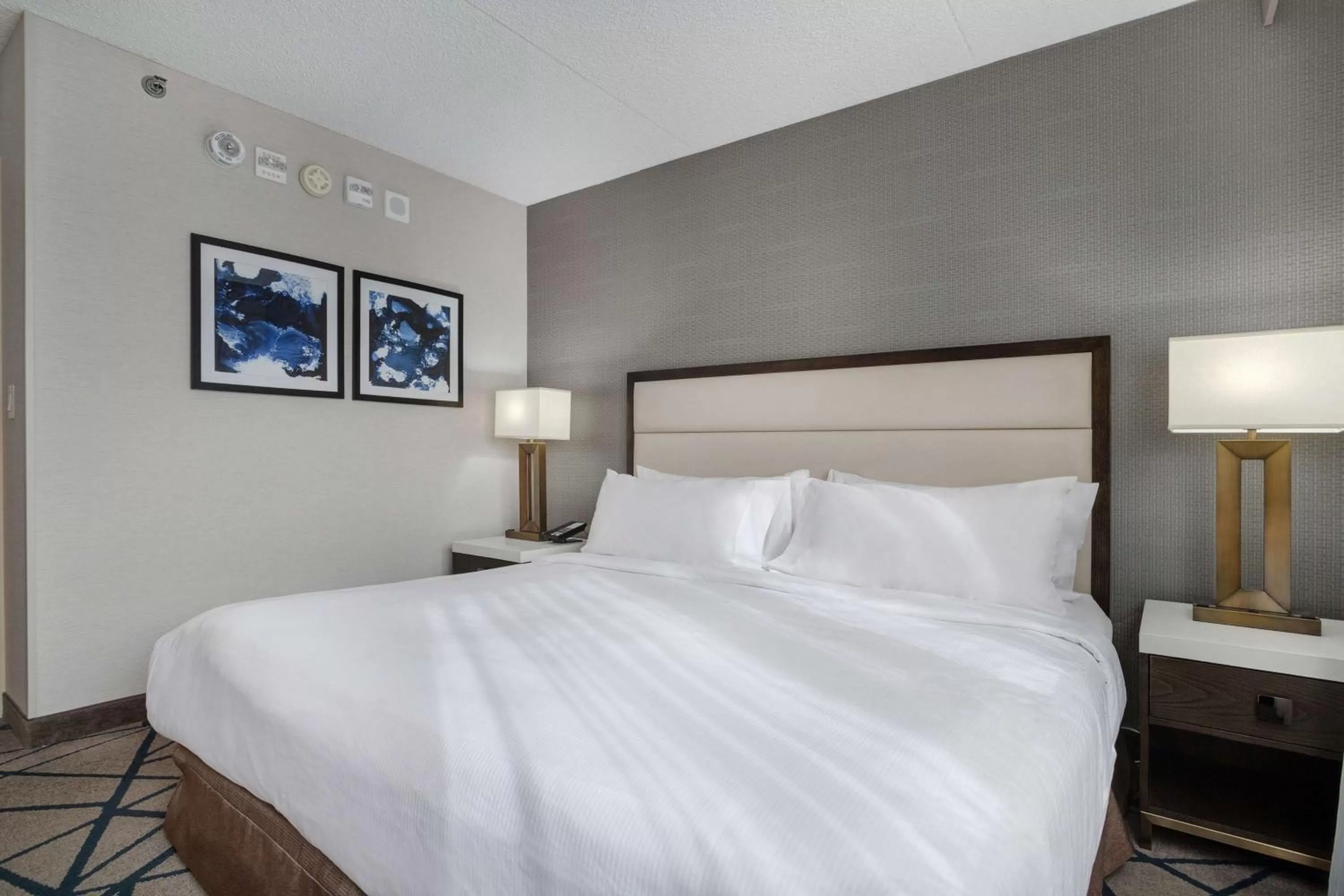 Bed in Embassy Suites by Hilton Seattle Bellevue