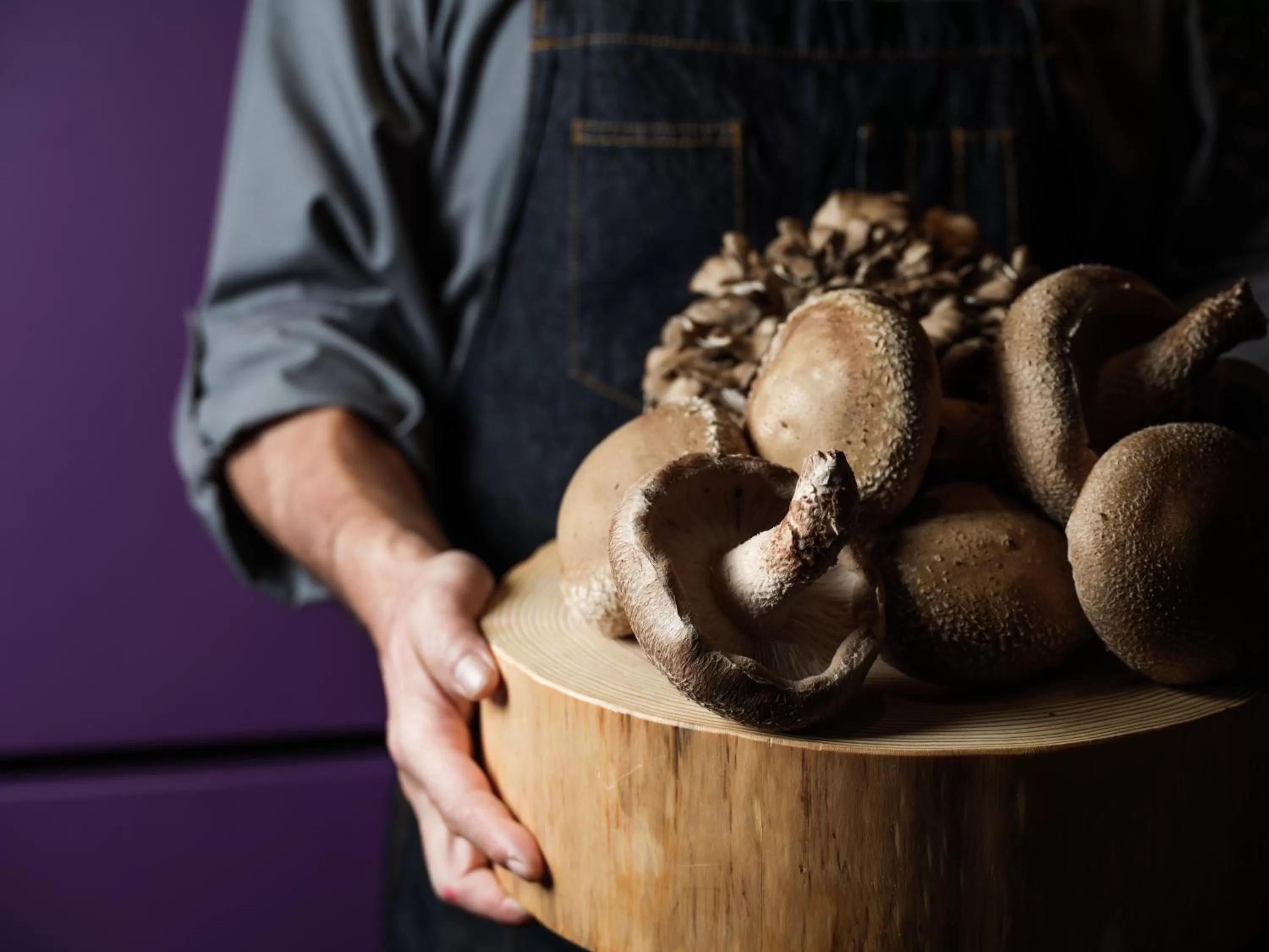 Food in Hyatt Centric Kanazawa