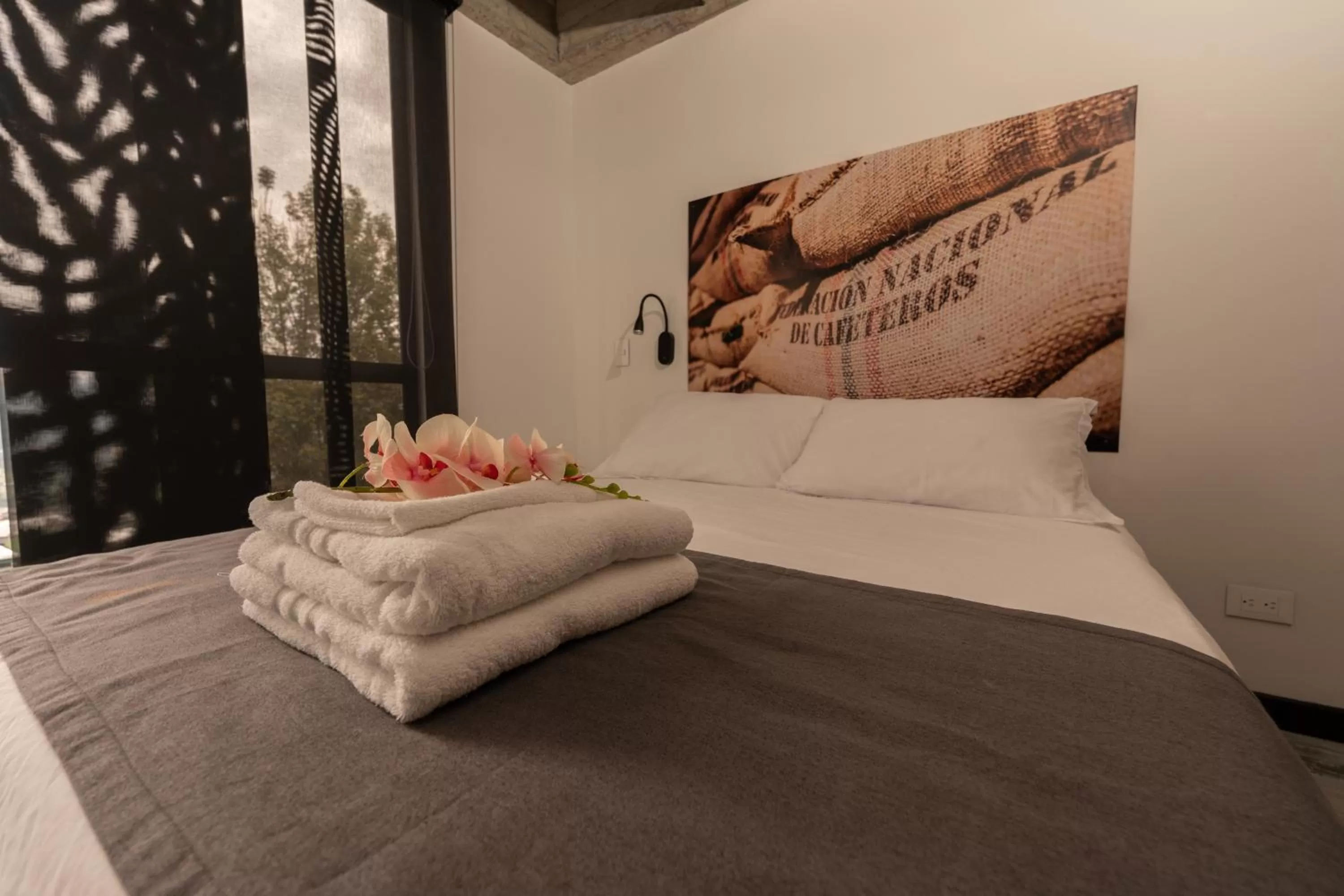 Bed in The Coffee Club