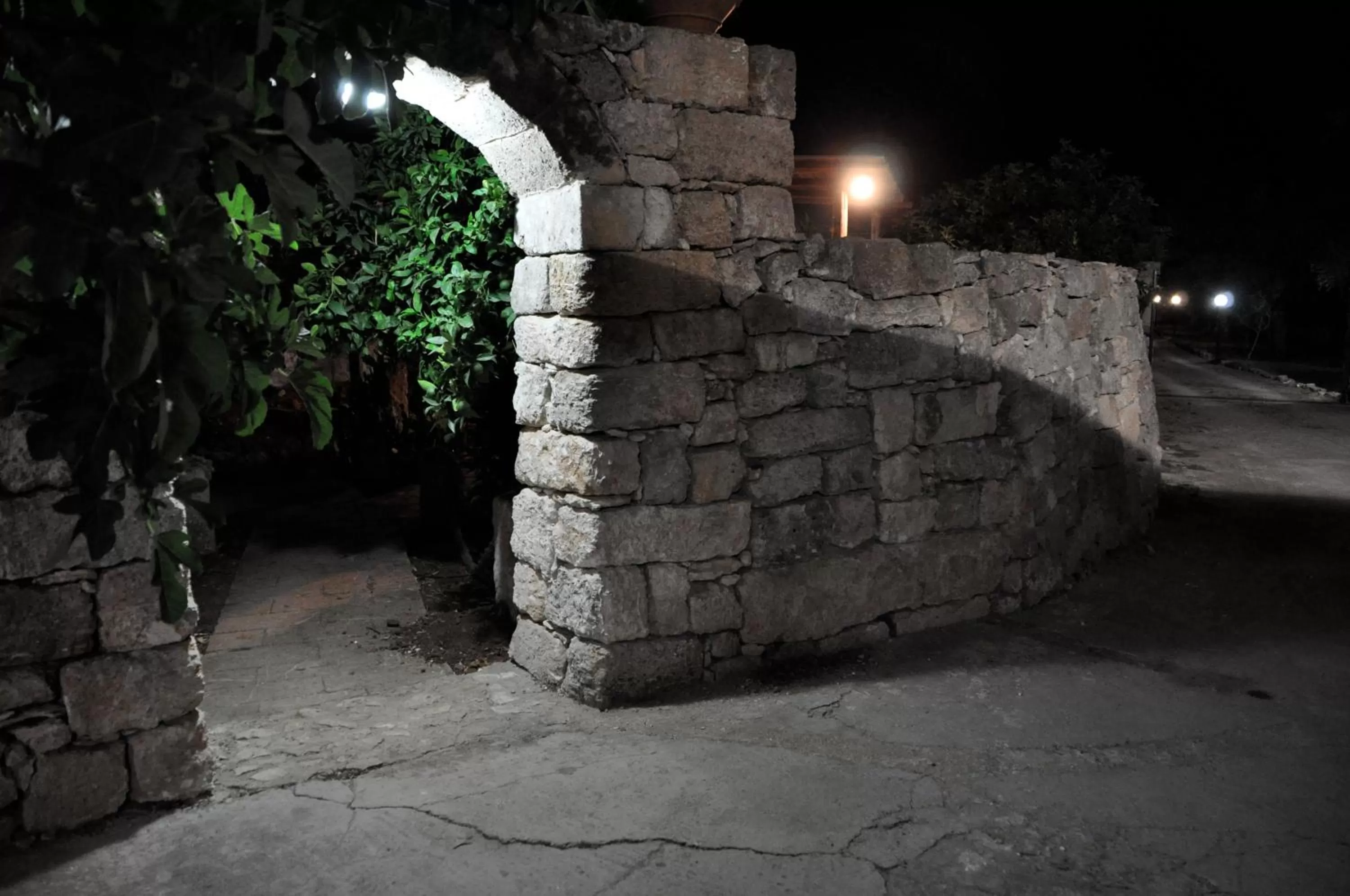 Garden view in B&B La Seta Rossa