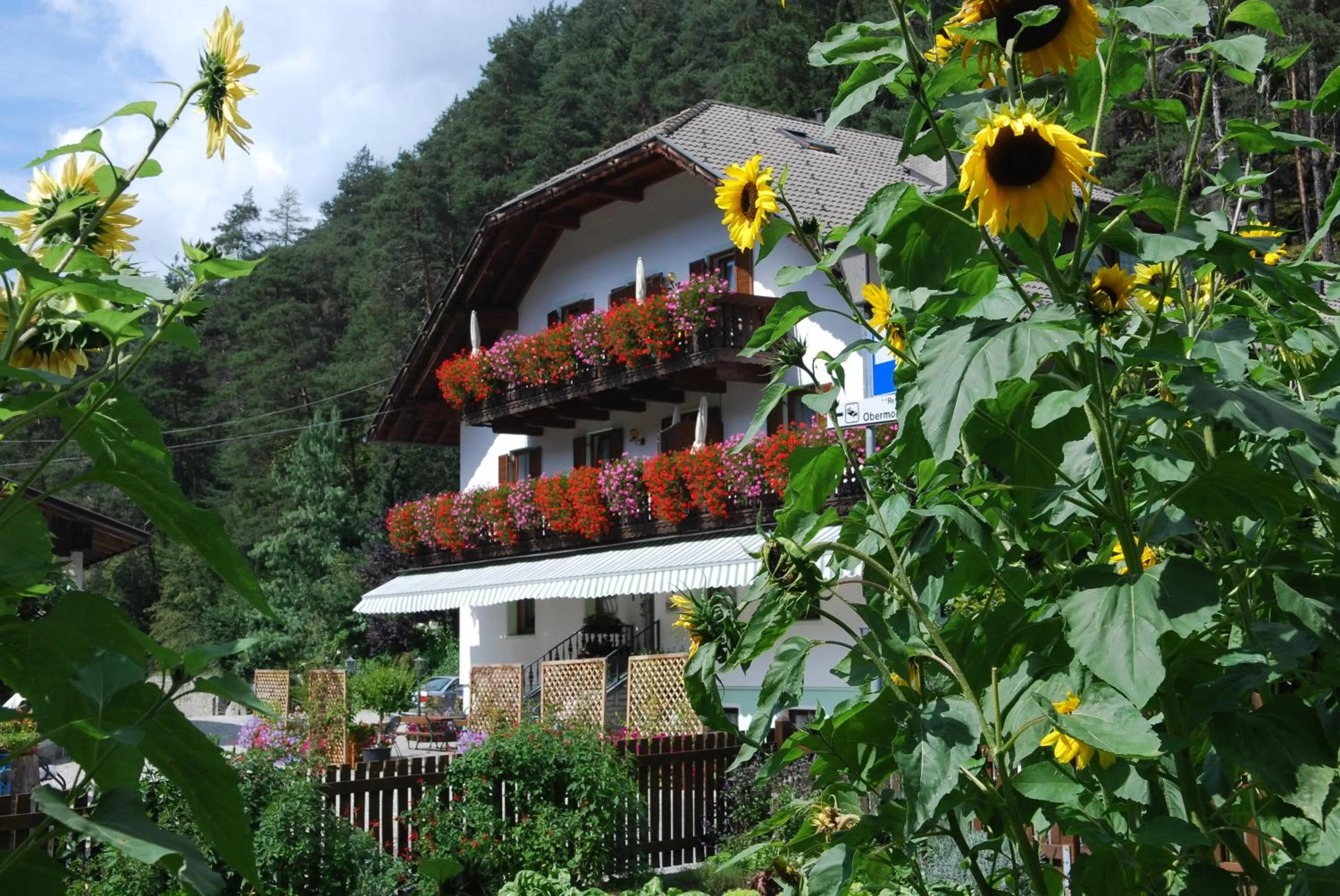Facade/entrance, Property Building in Residence Obermoarhof