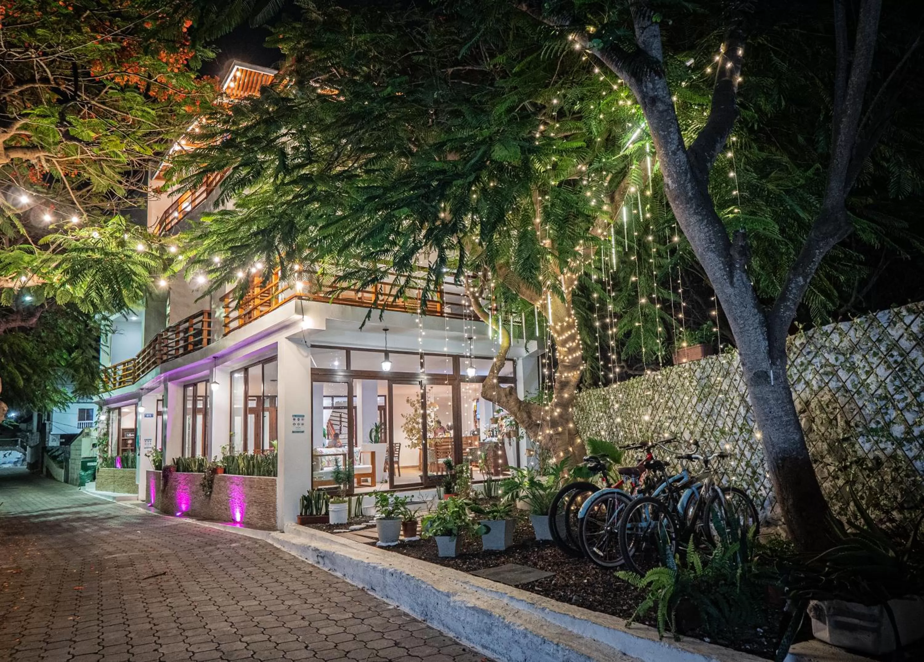 Patio, Property Building in Hotel La Isla