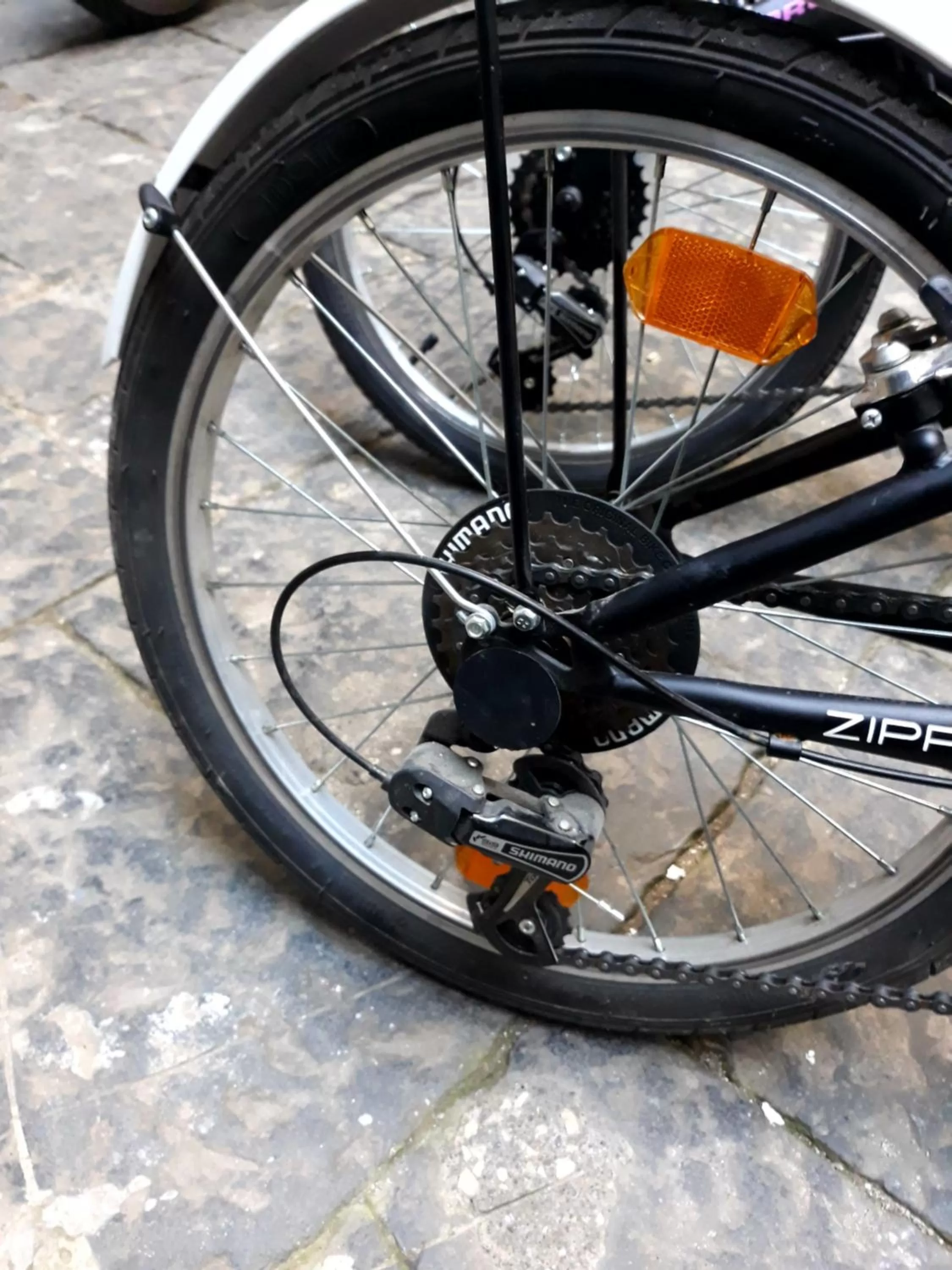 Cycling in Domus San Biagio 14