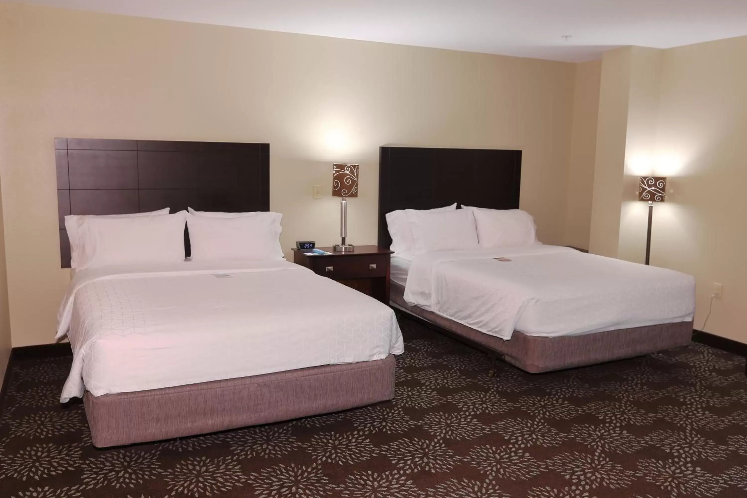 Deluxe Queen Suite - Disability Access in Holiday Inn Express Pittsburgh West - Greentree, an IHG Hotel Deluxe Queen Suite - Disability Access in Holiday Inn Express Pittsburgh West - Greentree, an IHG Hotel
