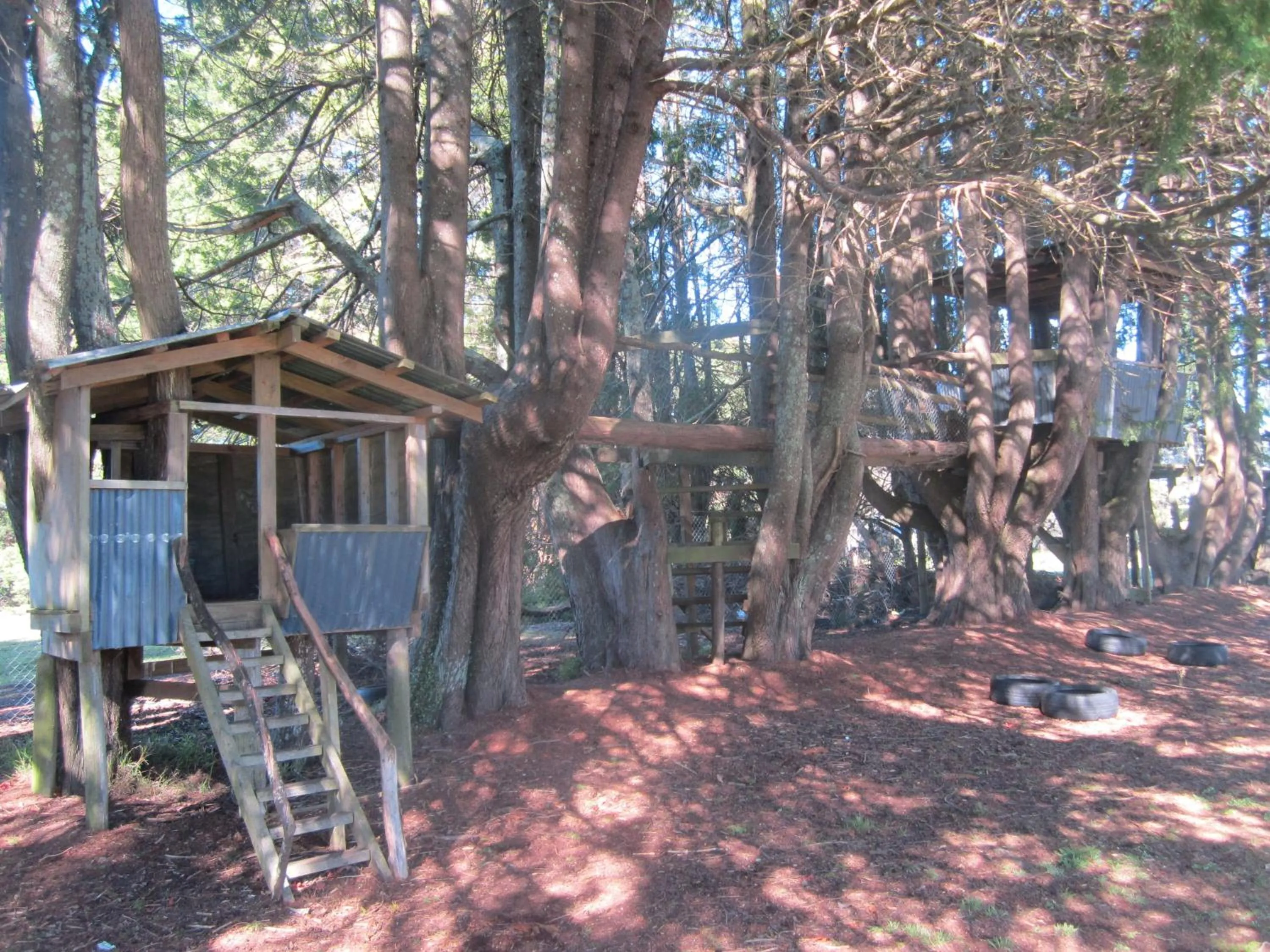 Activities in All Seasons Holiday Park