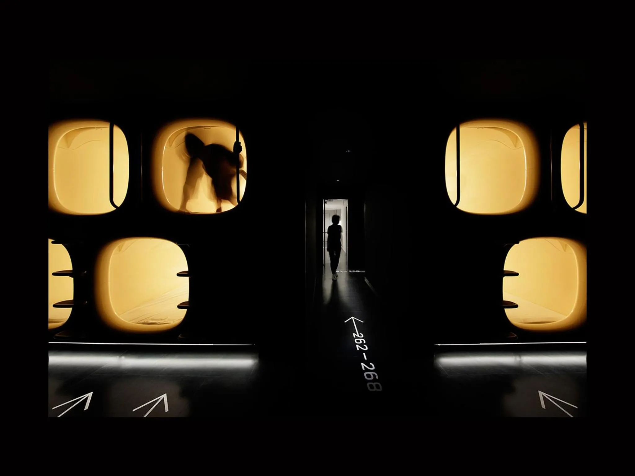 Other in 9h nine hours Sendai