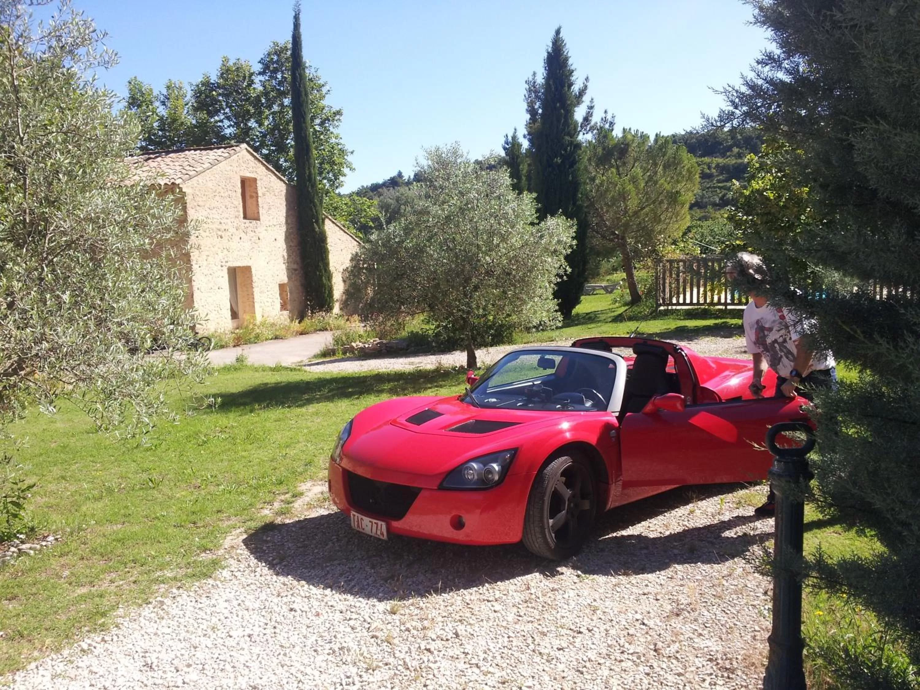 Garden in Chambres d'Hôtes Aux Tournesols