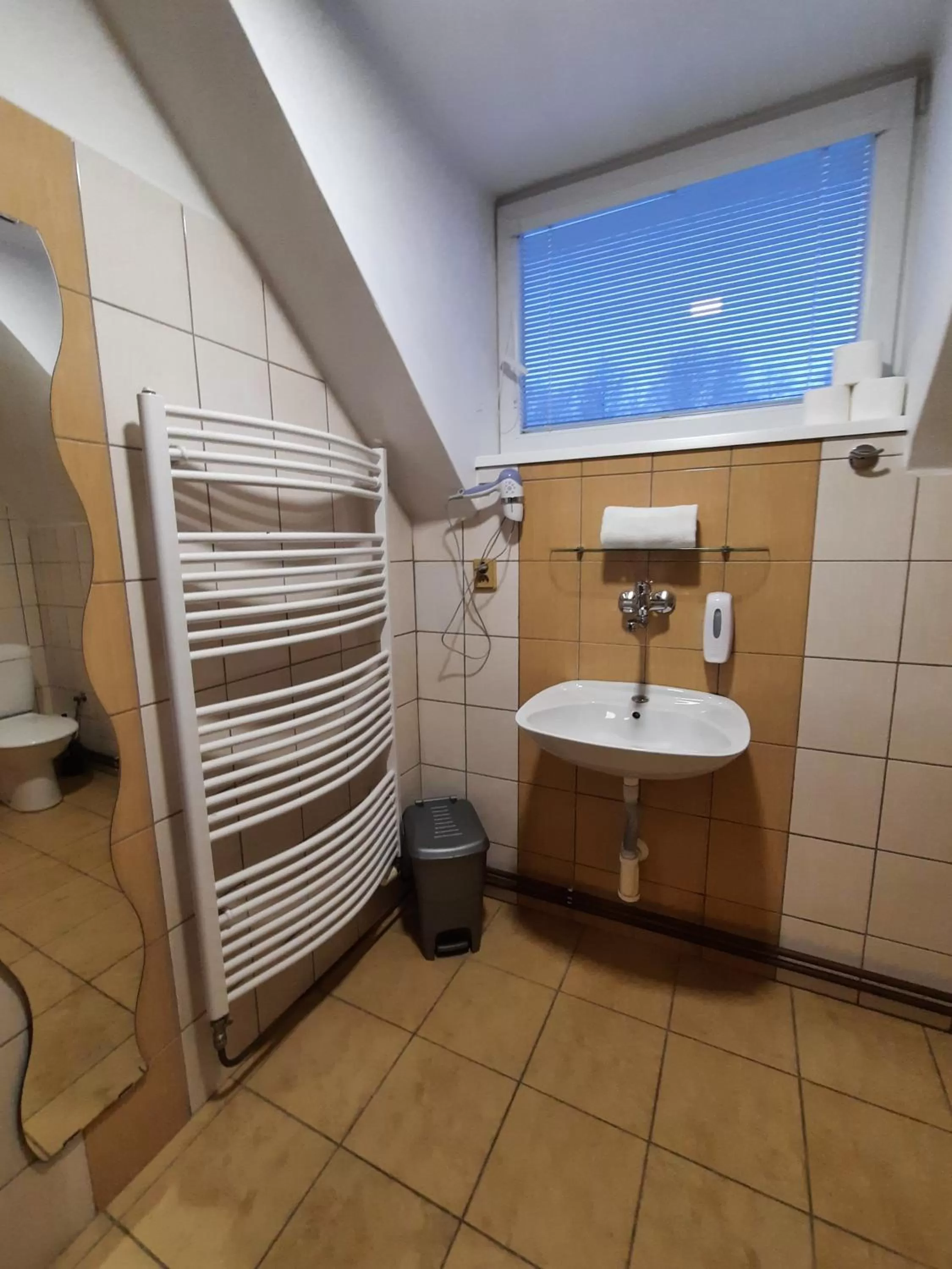 Shower in Hotel Boršičanka