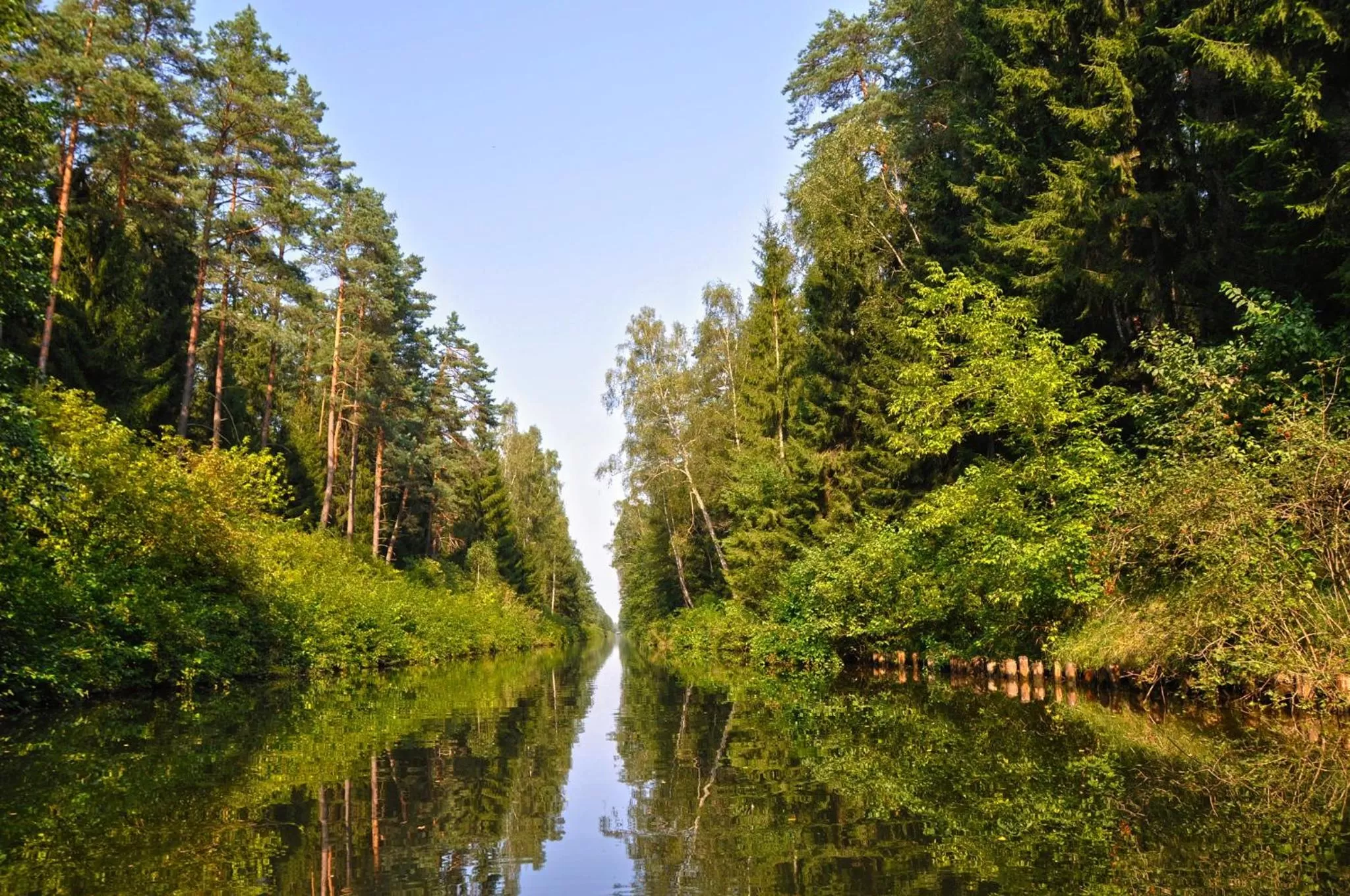 Natural landscape in Villa Skomanda
