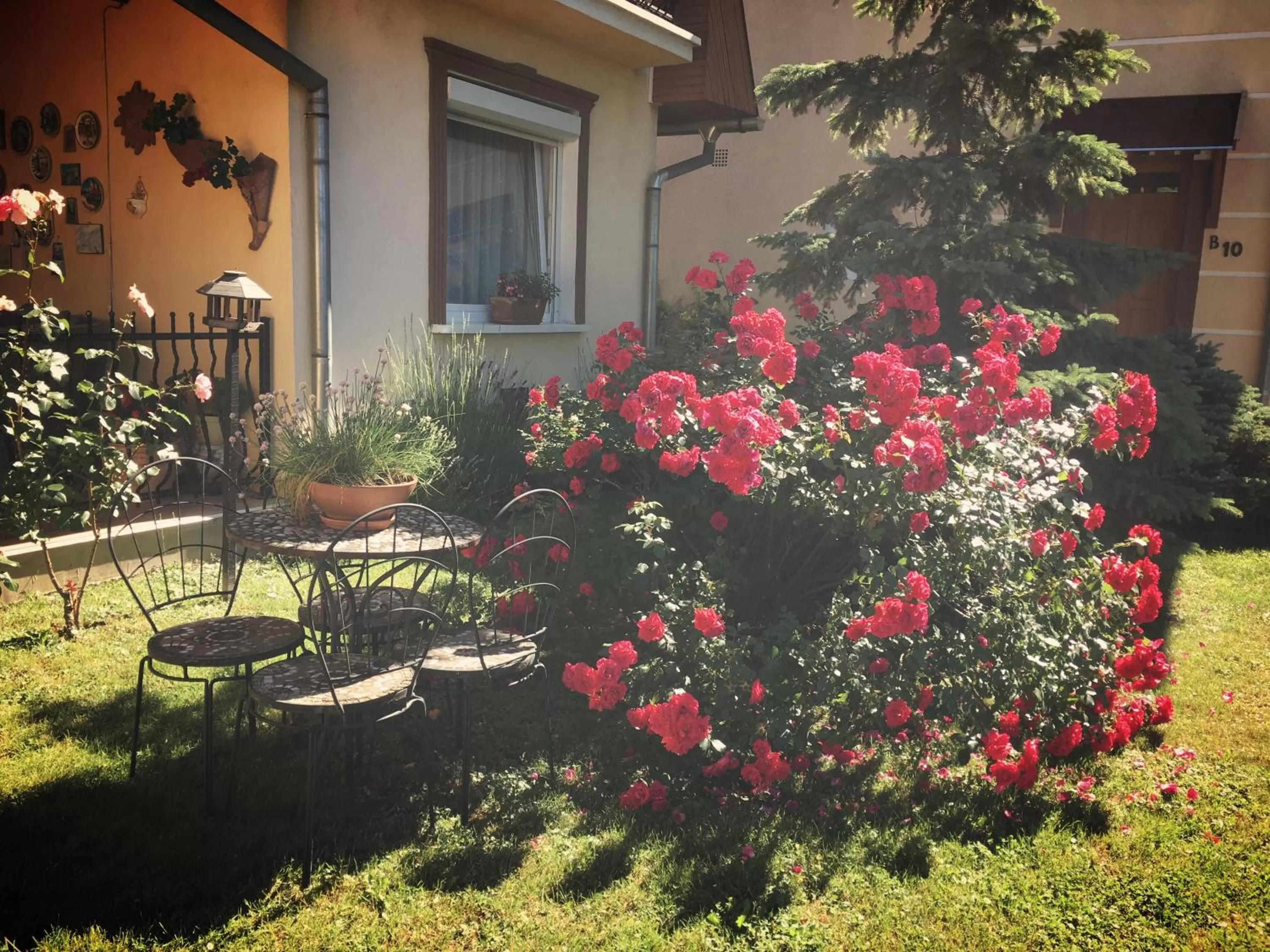 Garden in Hotel Zéta
