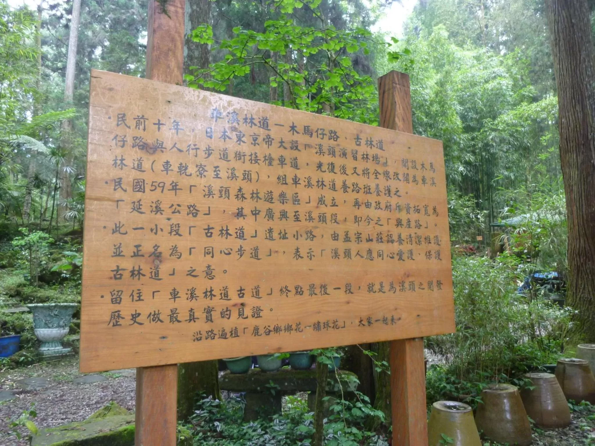 Natural landscape in Ginkgo Hotel