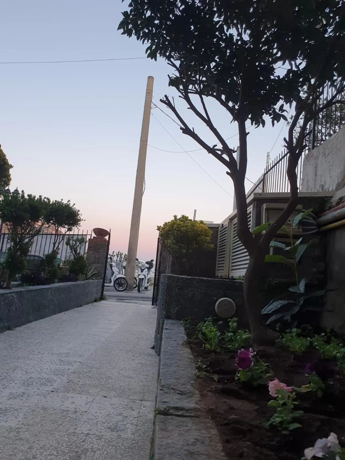 Garden in Hotel Mareluna Ischia