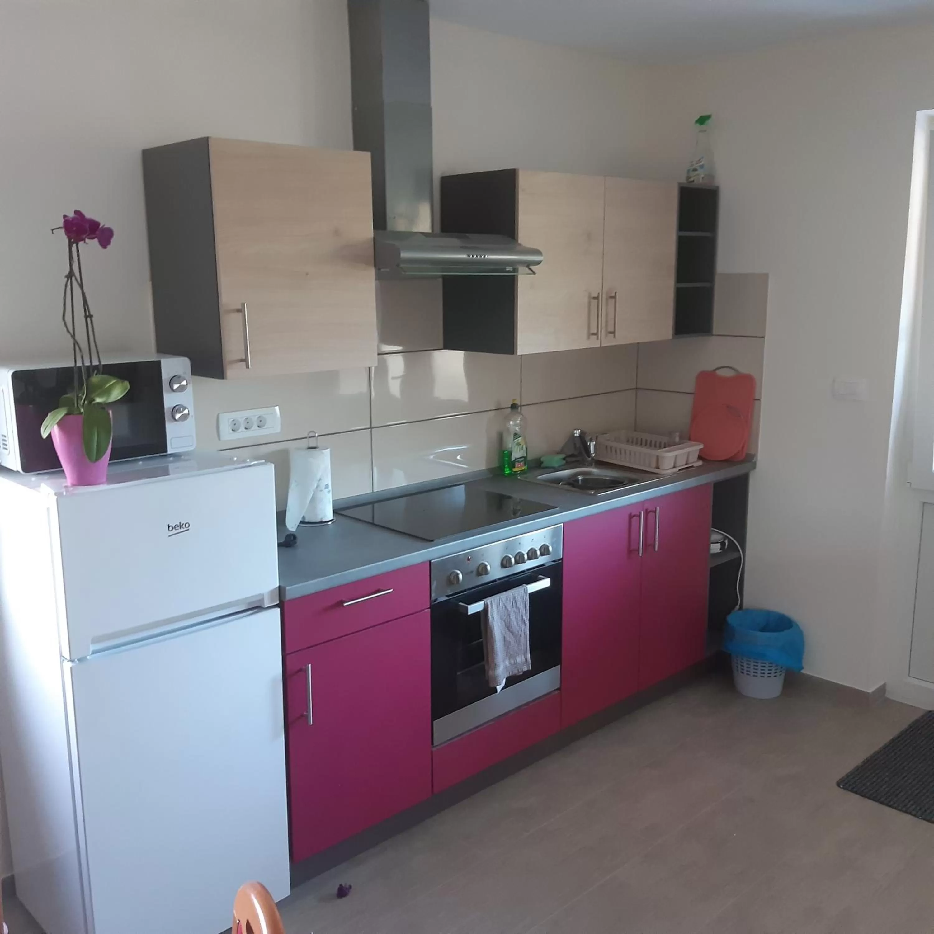 Kitchen/Kitchenette in Sobe in apartma Pilih