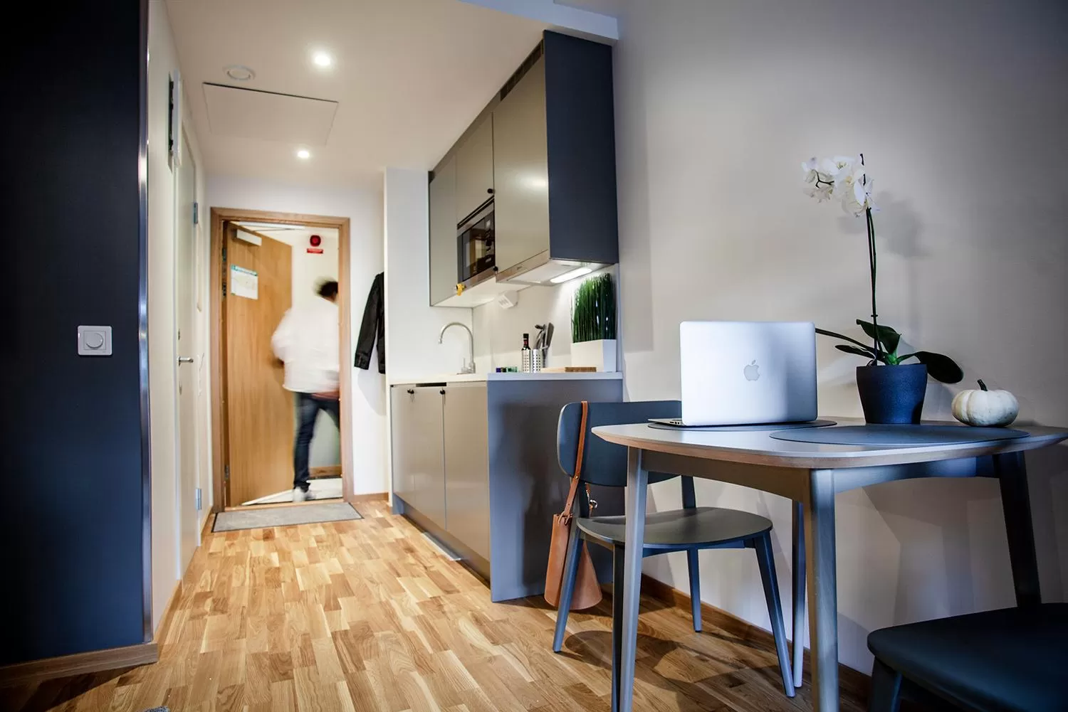 Kitchen or kitchenette in First Hotel The Studio