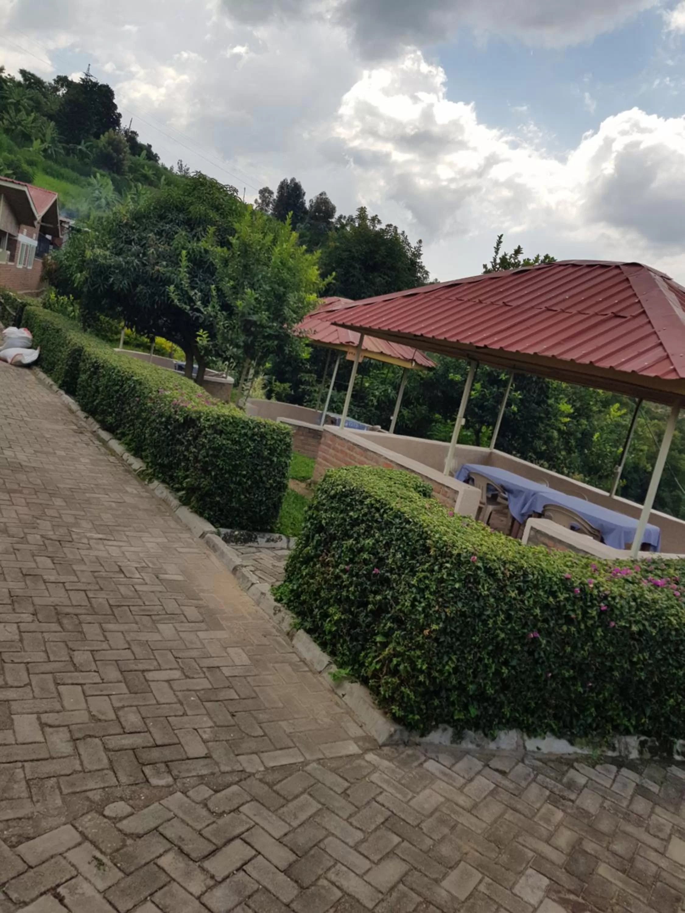 Garden in Rebero Kivu Resort