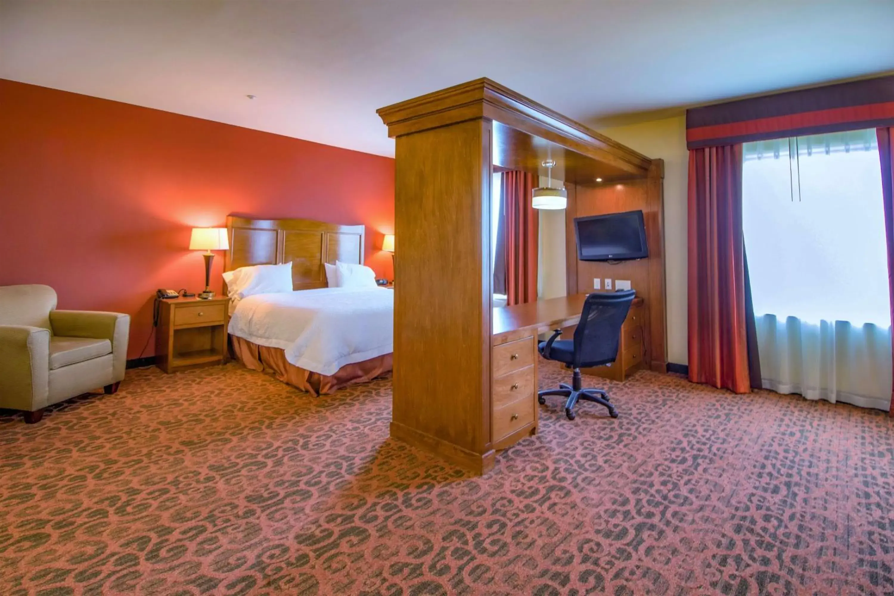 King Studio Suite - Non-Smoking in Hampton Inn & Suites Bastrop King Studio Suite - Non-Smoking in Hampton Inn & Suites Bastrop