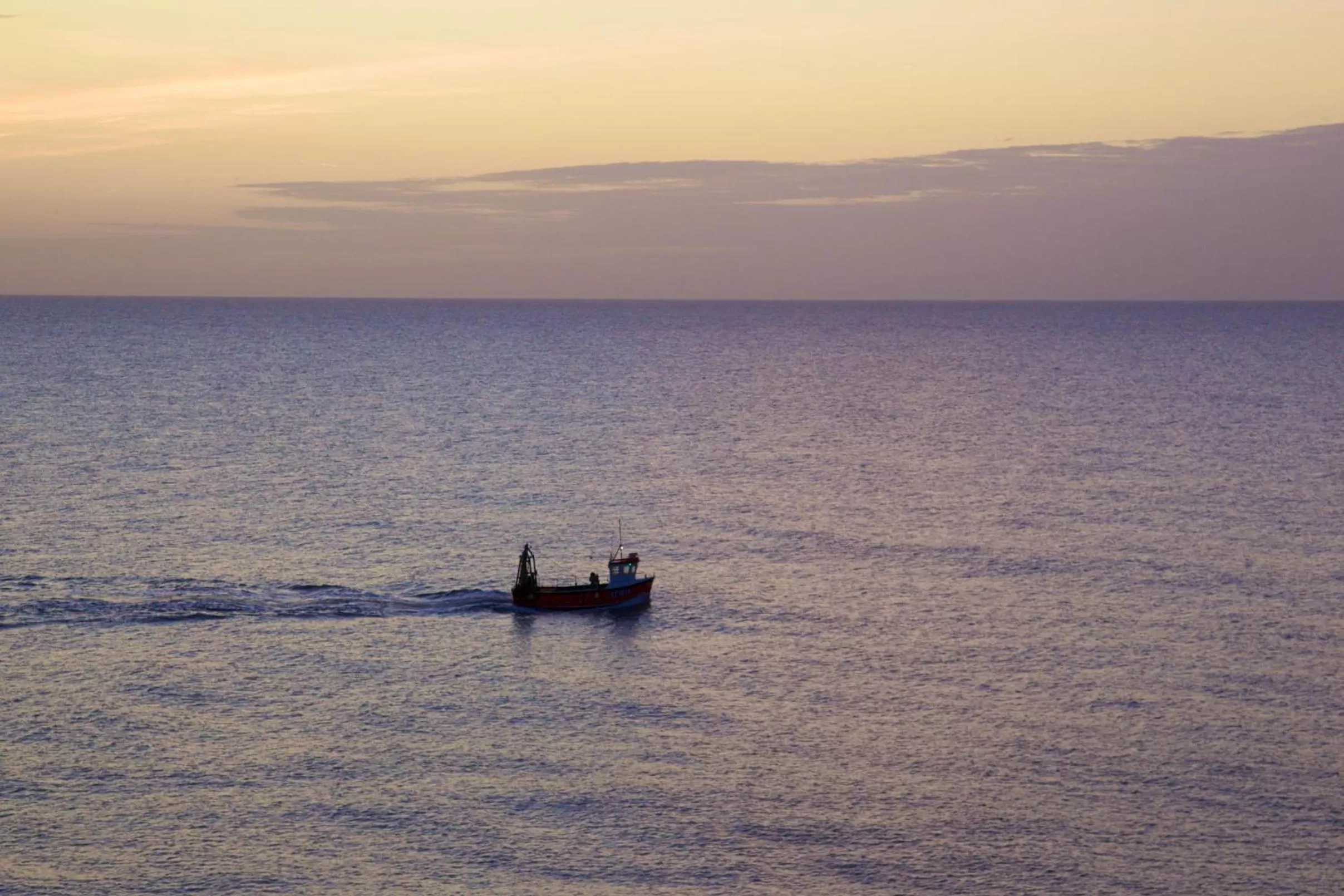 Natural landscape in The Brudenell