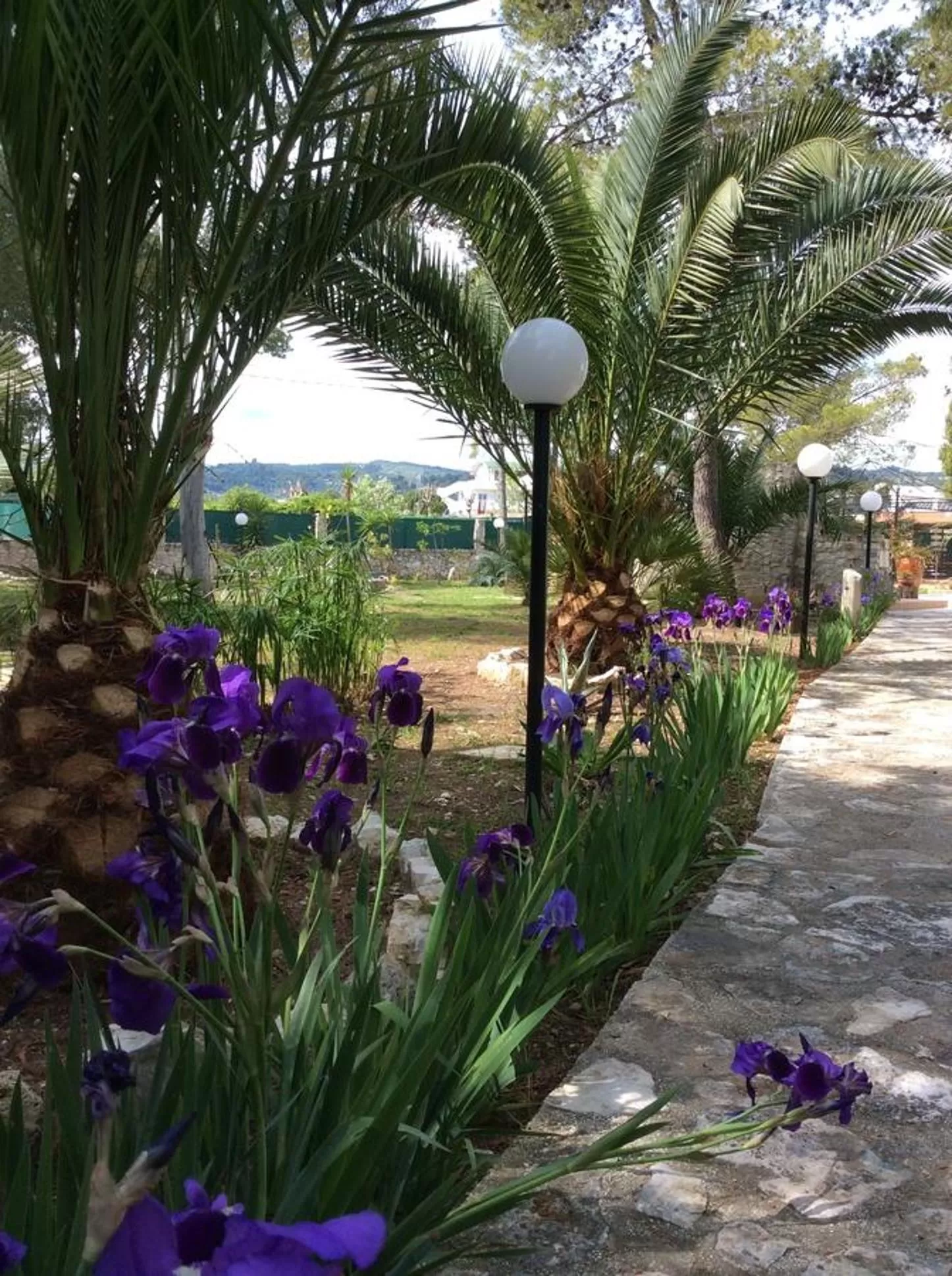 Garden in Villa Soleanna Residence