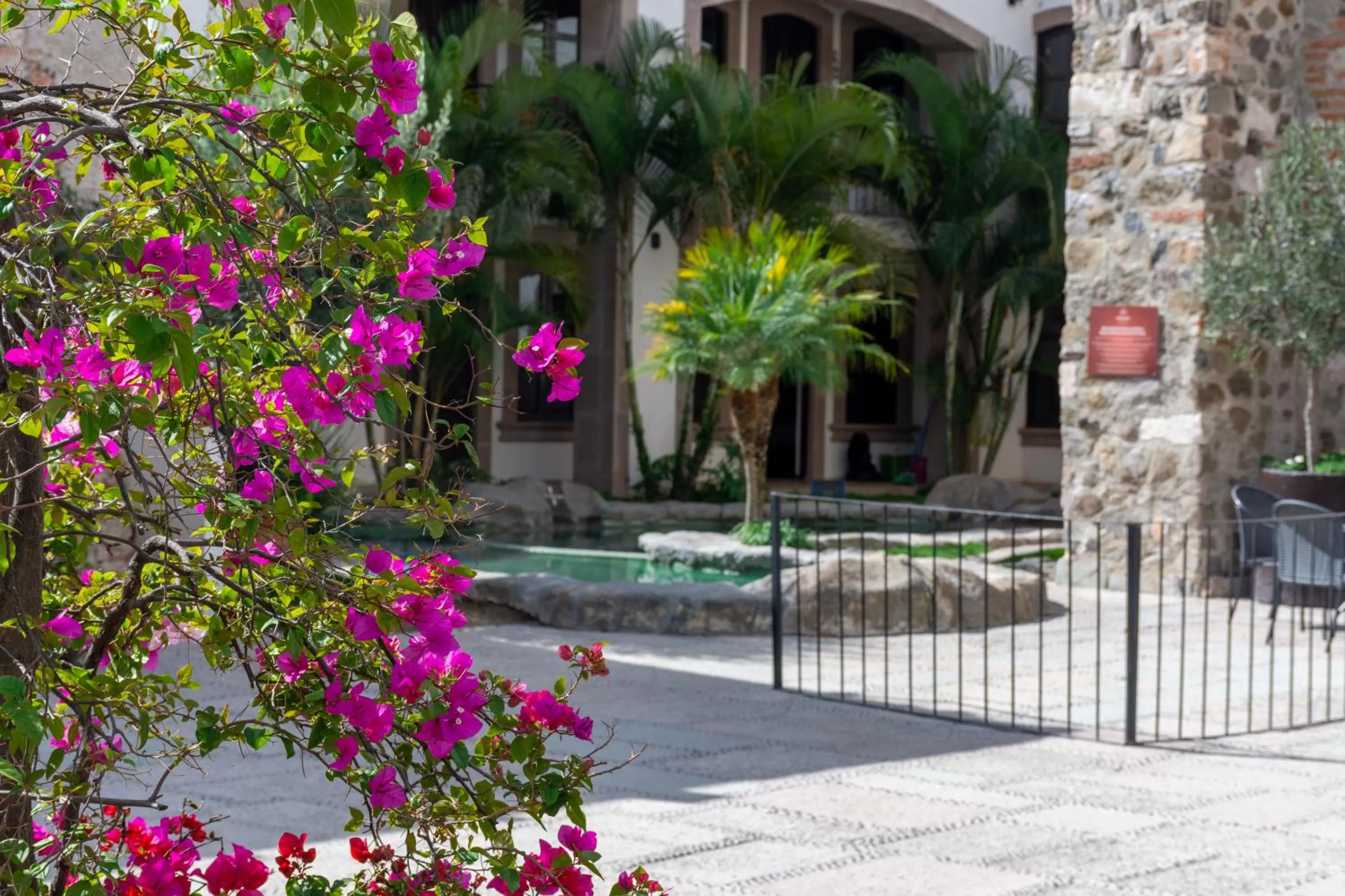 Garden in Hotel Hacienda San Cristóbal