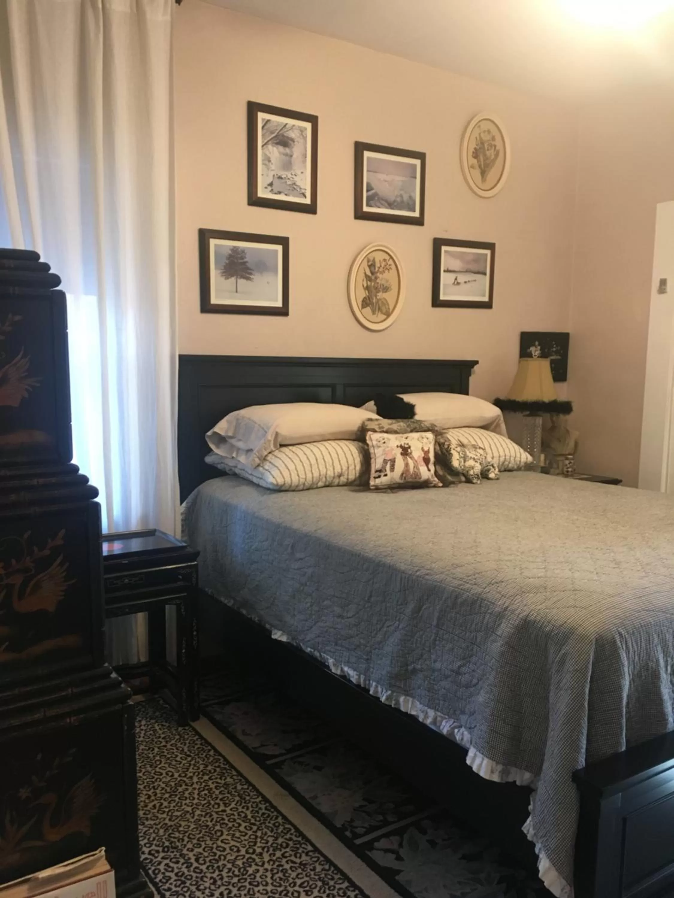 Double Room with Shared Bathroom - single occupancy in Dresden B & B