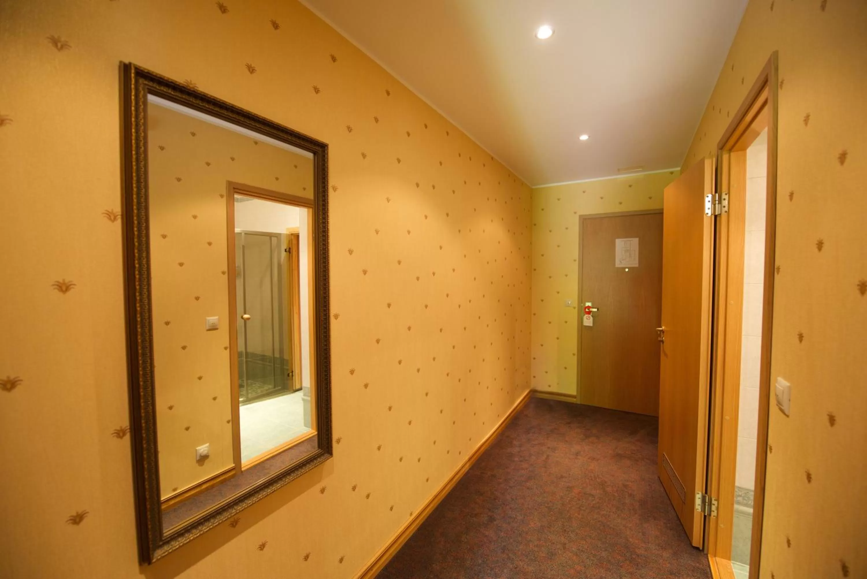 Photo of the whole room in Villa Hotel Theresa