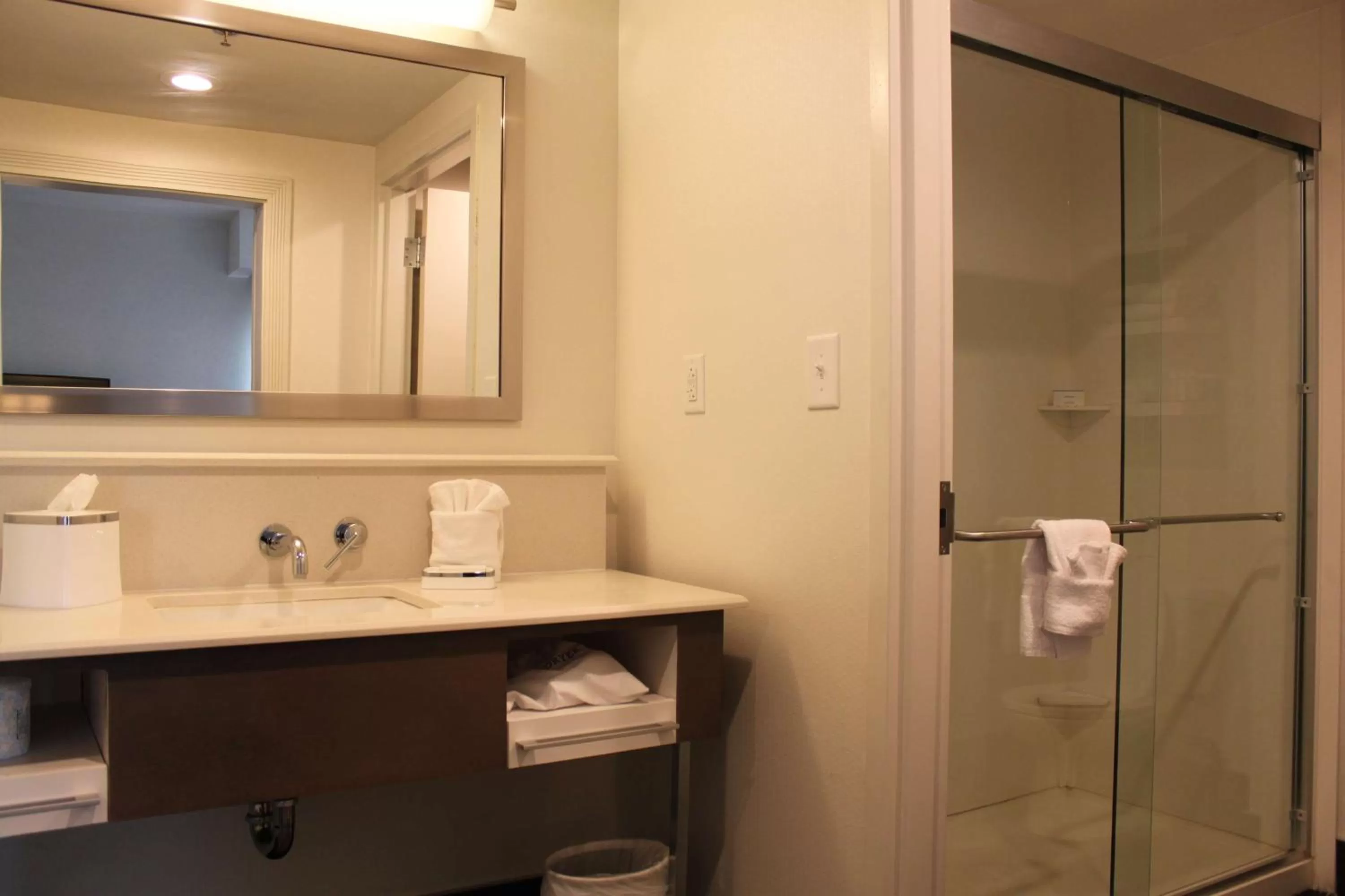 Bathroom in Hampton Inn Bainbridge, GA