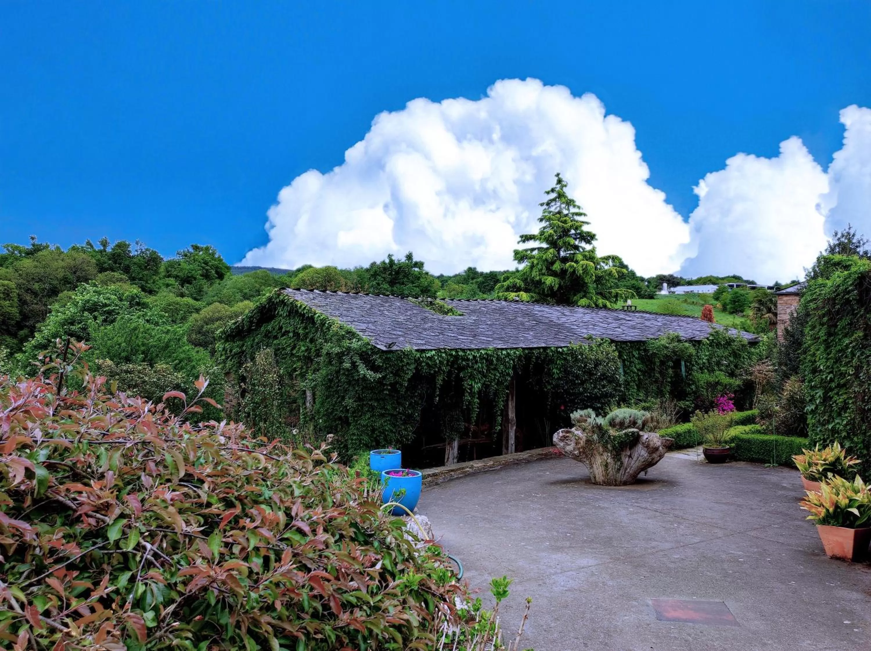 Garden view in Hotel Casa de Díaz