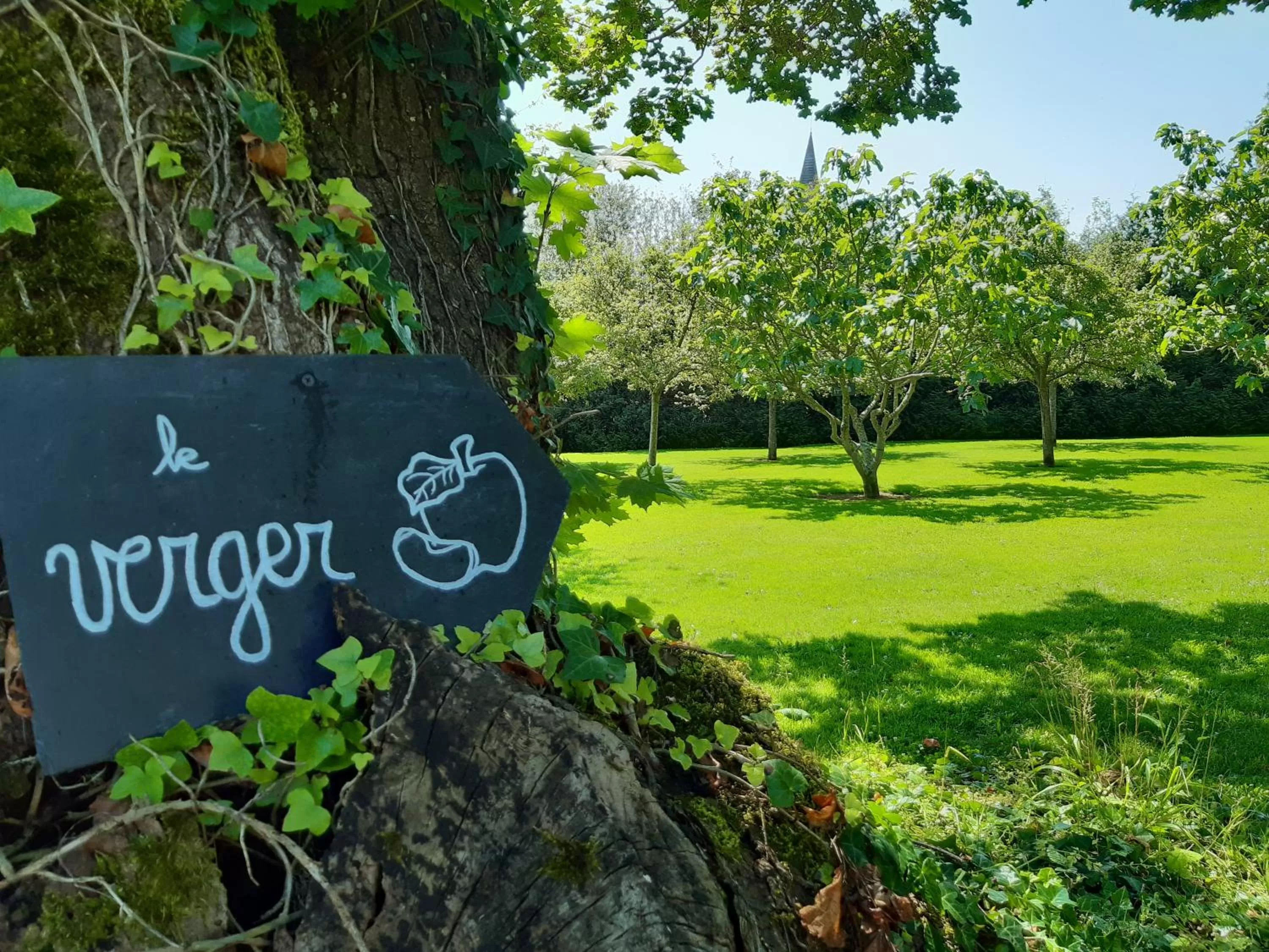 Garden in Château Saint Gilles - Bayeux