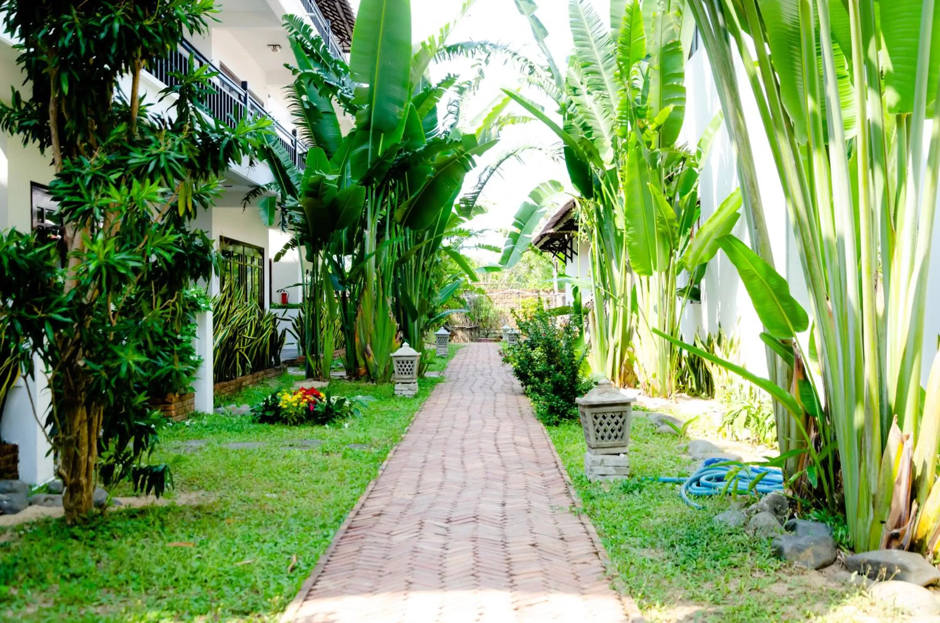 Garden in Riverside Bamboo Resort Hoi An