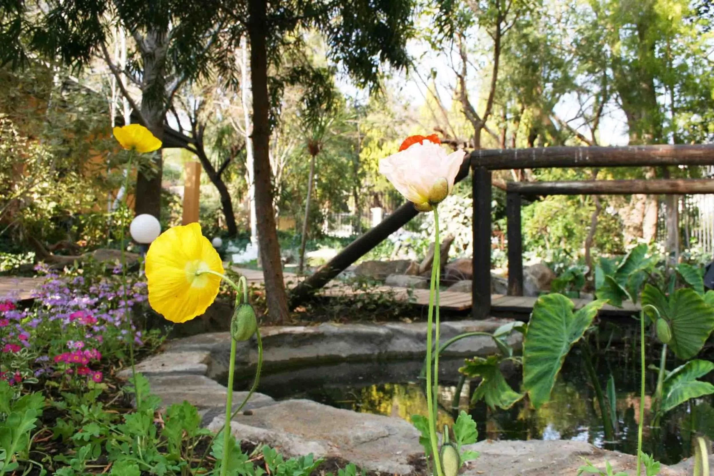 Balcony/Terrace in Jedidja Bed and Breakfast