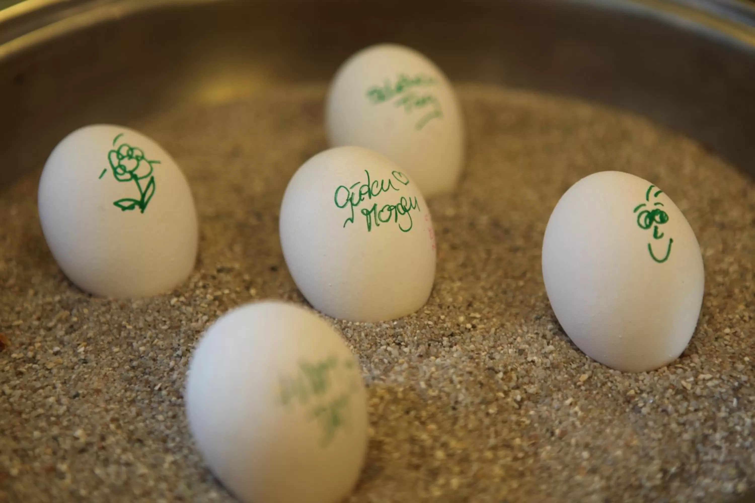 Food and drinks in Hotel am Main